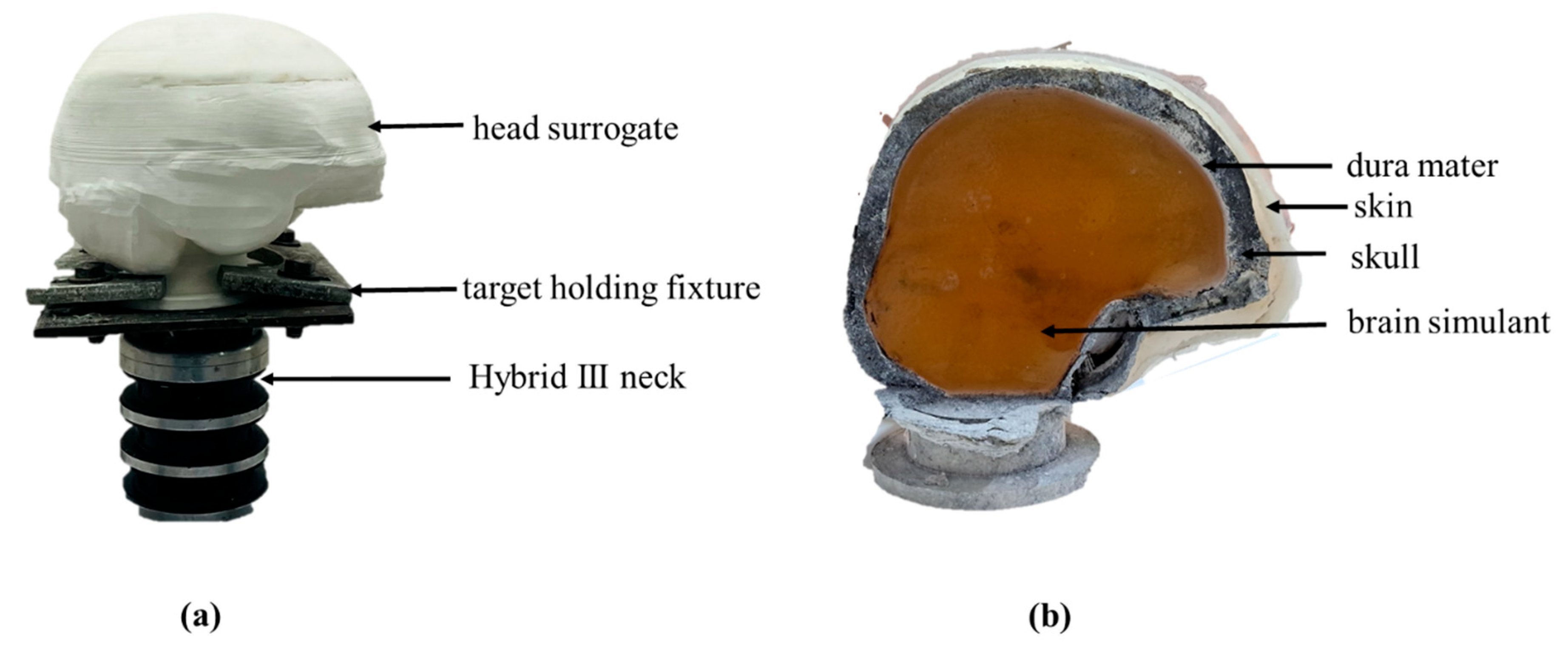 Applsci 14 11460 g001