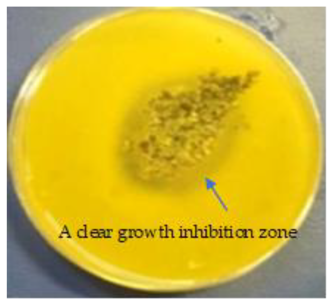 Applsci 14 11469 g001