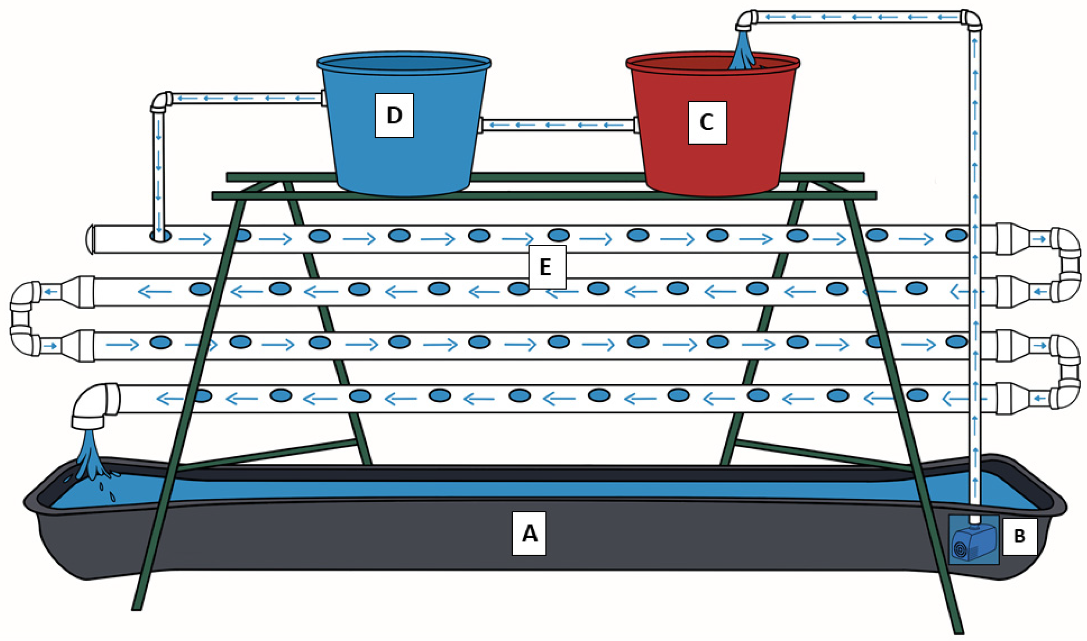 Applsci 14 11476 g001