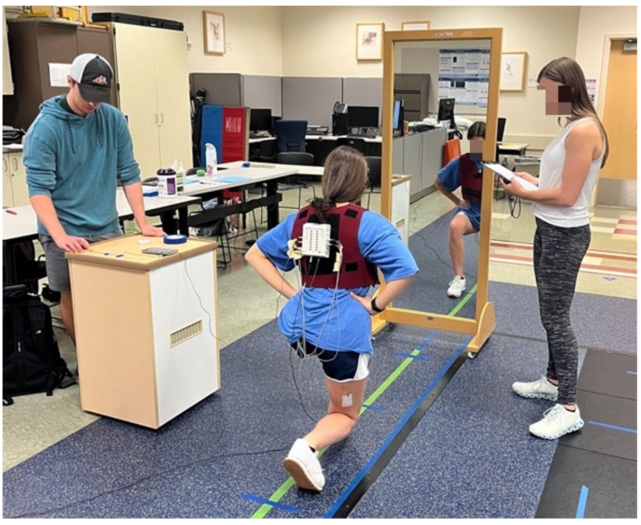 Applsci 14 11480 g001