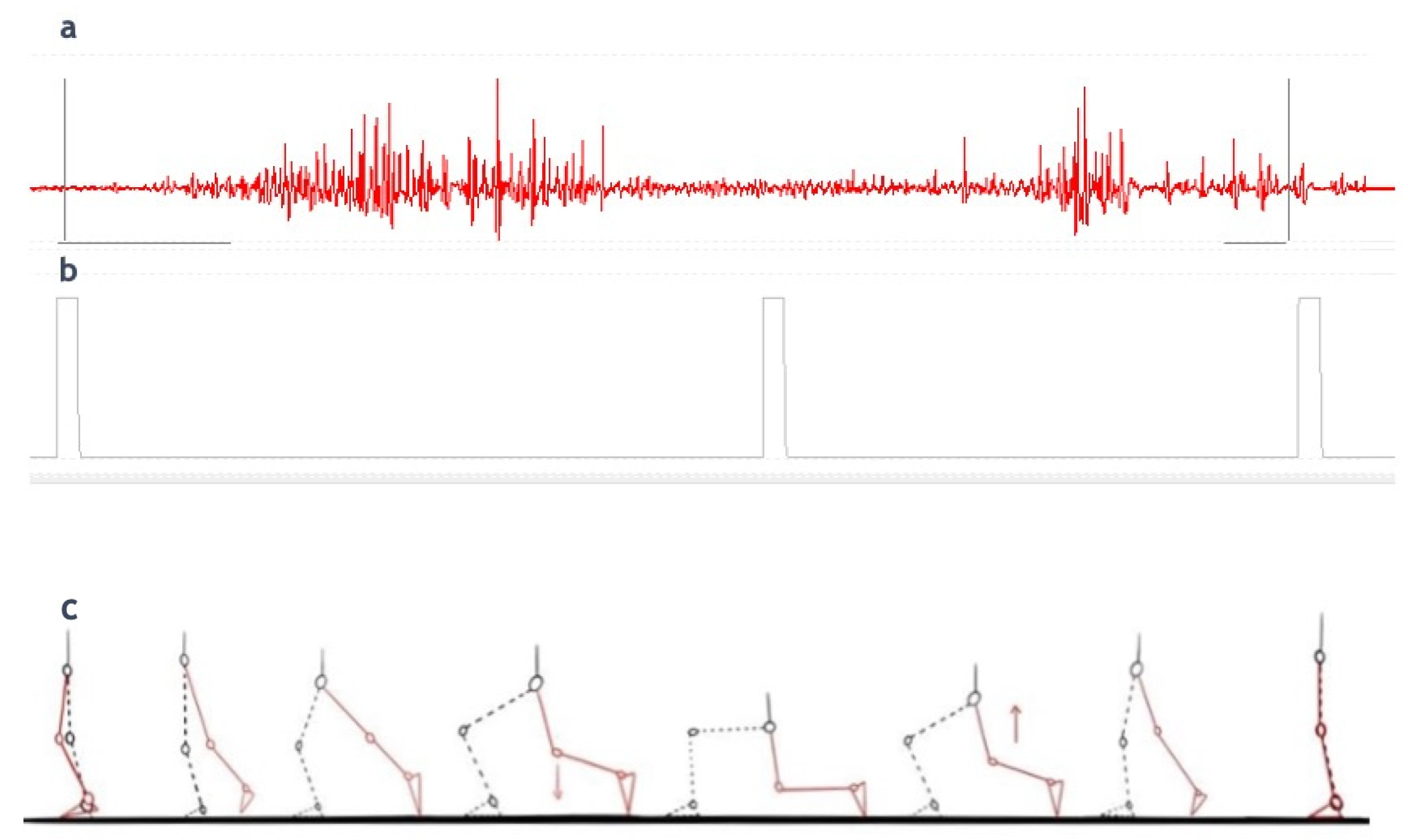 Applsci 14 11480 g004