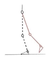 Applsci 14 11480 i003