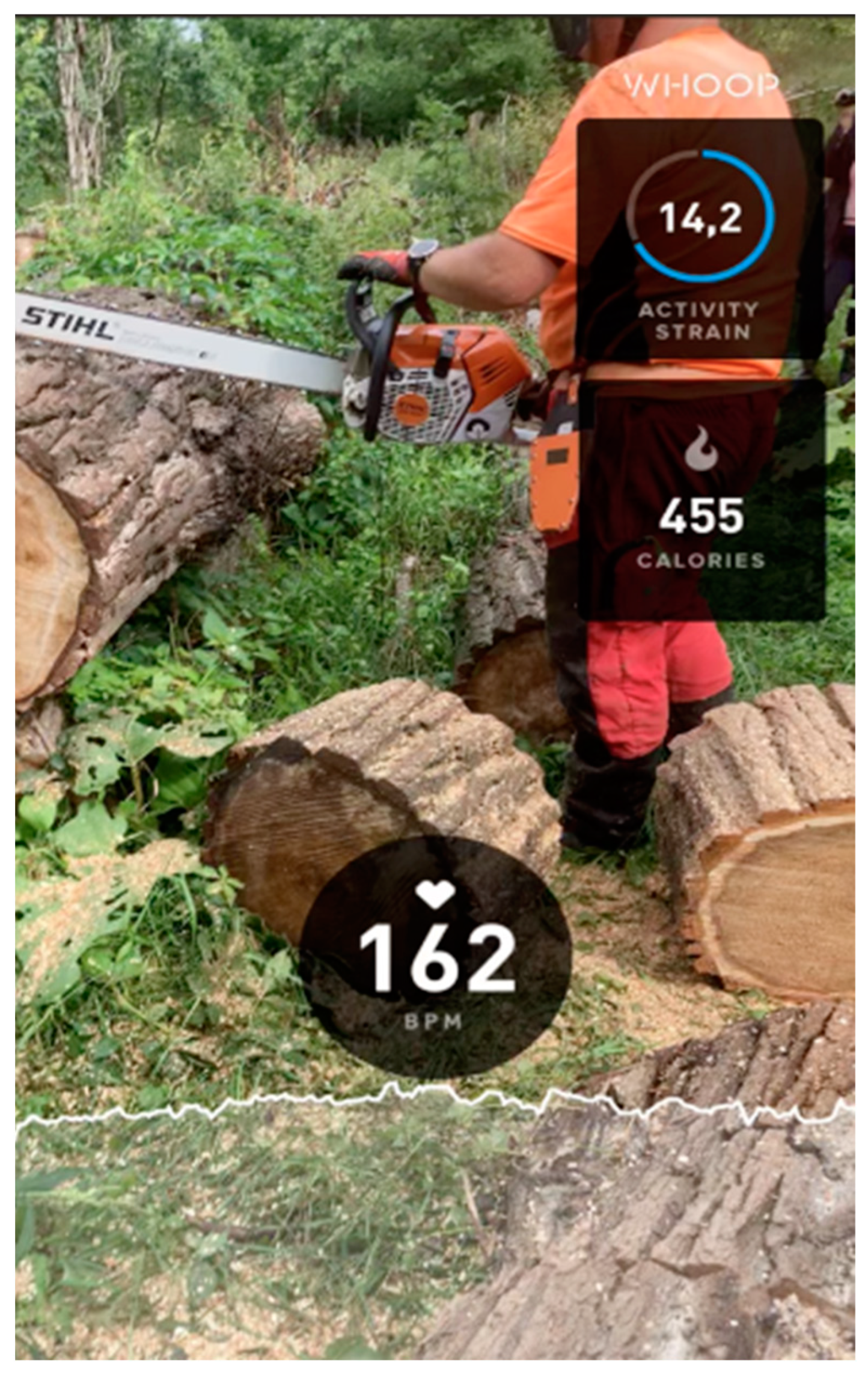 Applsci 14 11483 g001