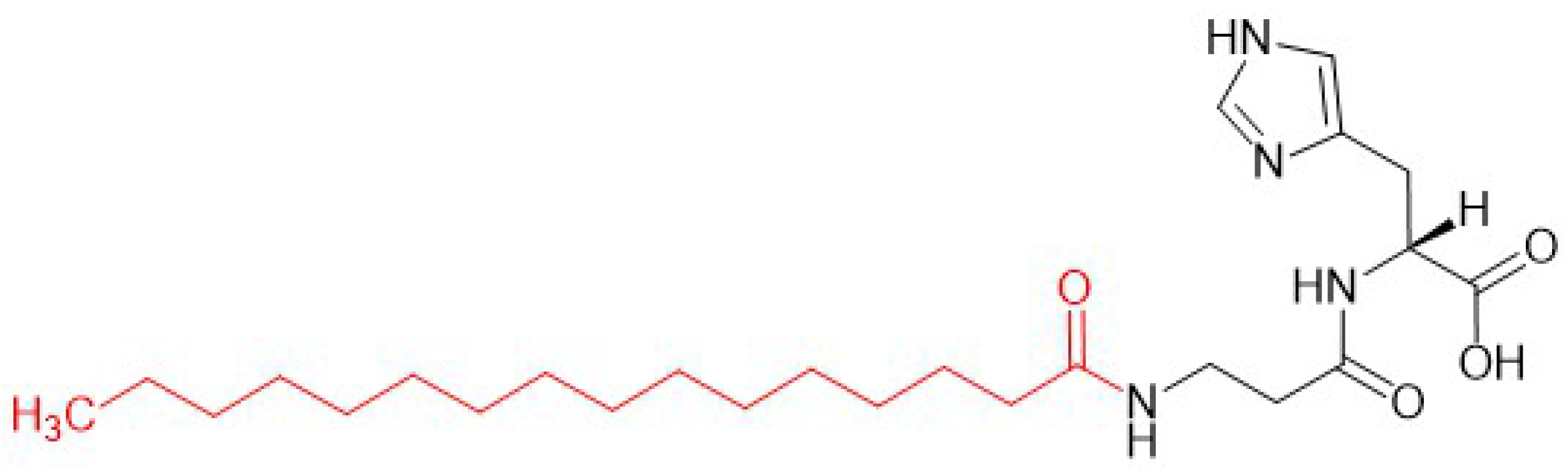 Applsci 14 11495 g001