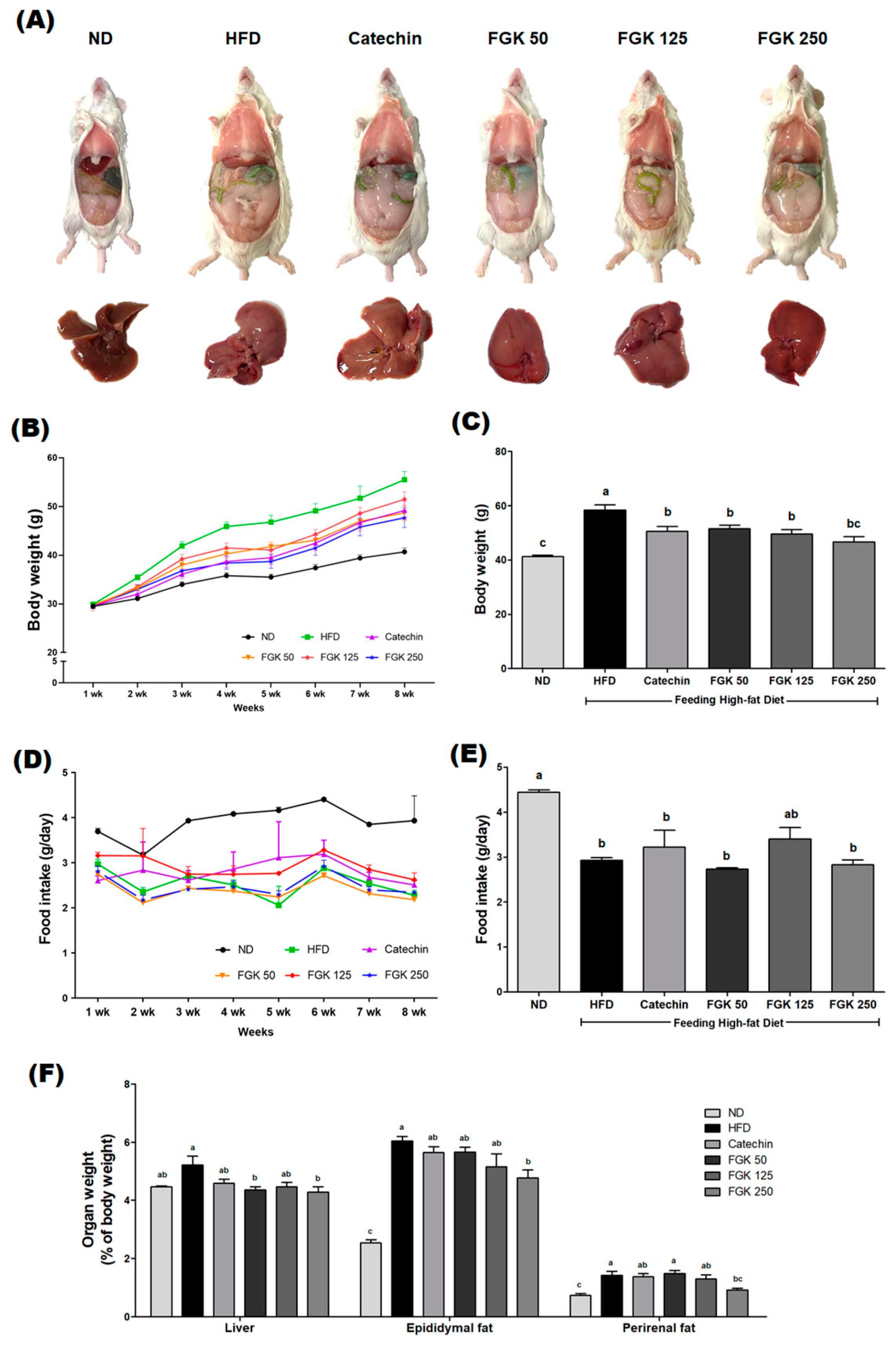 Applsci 14 11503 g001