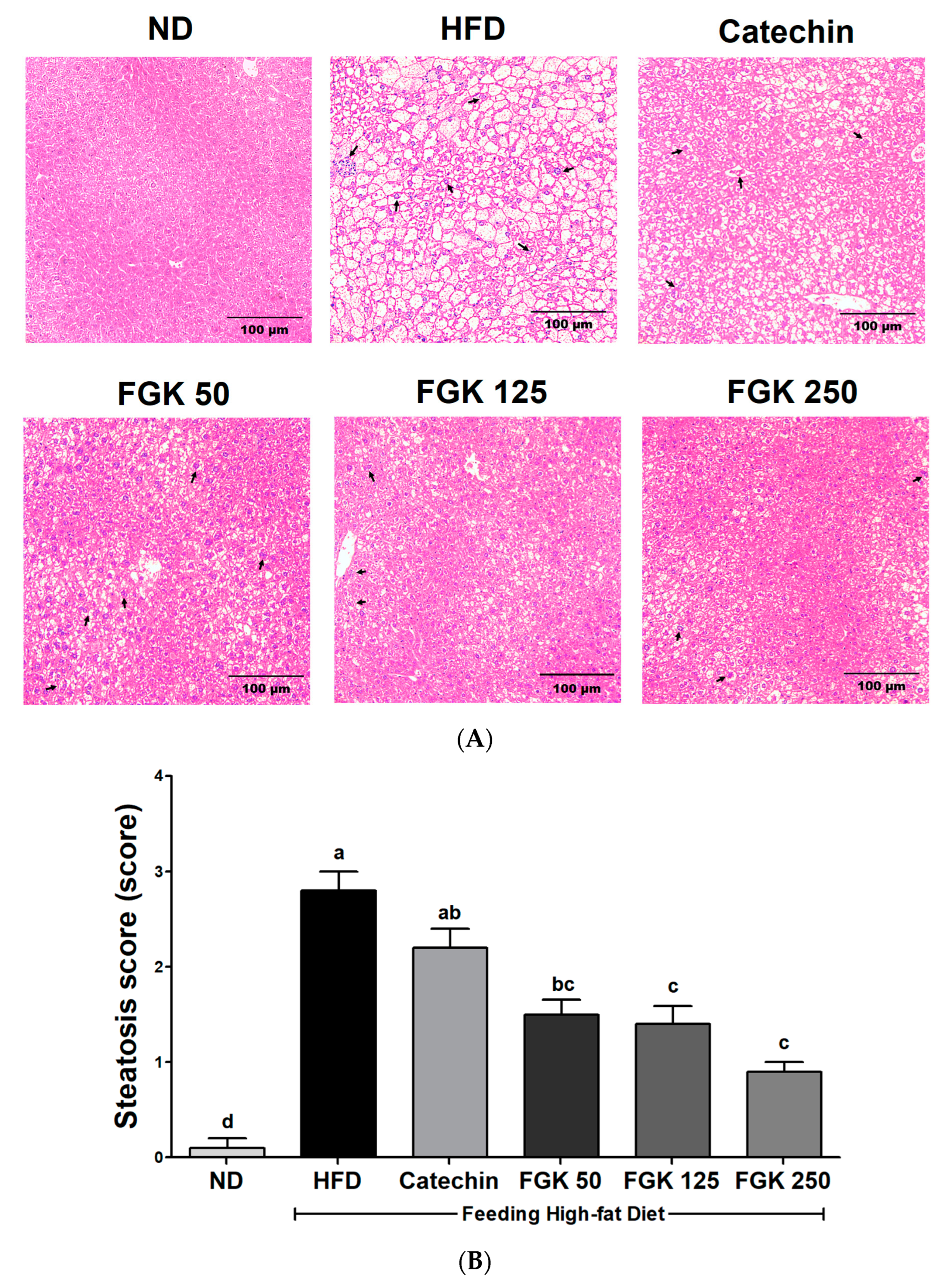 Applsci 14 11503 g005