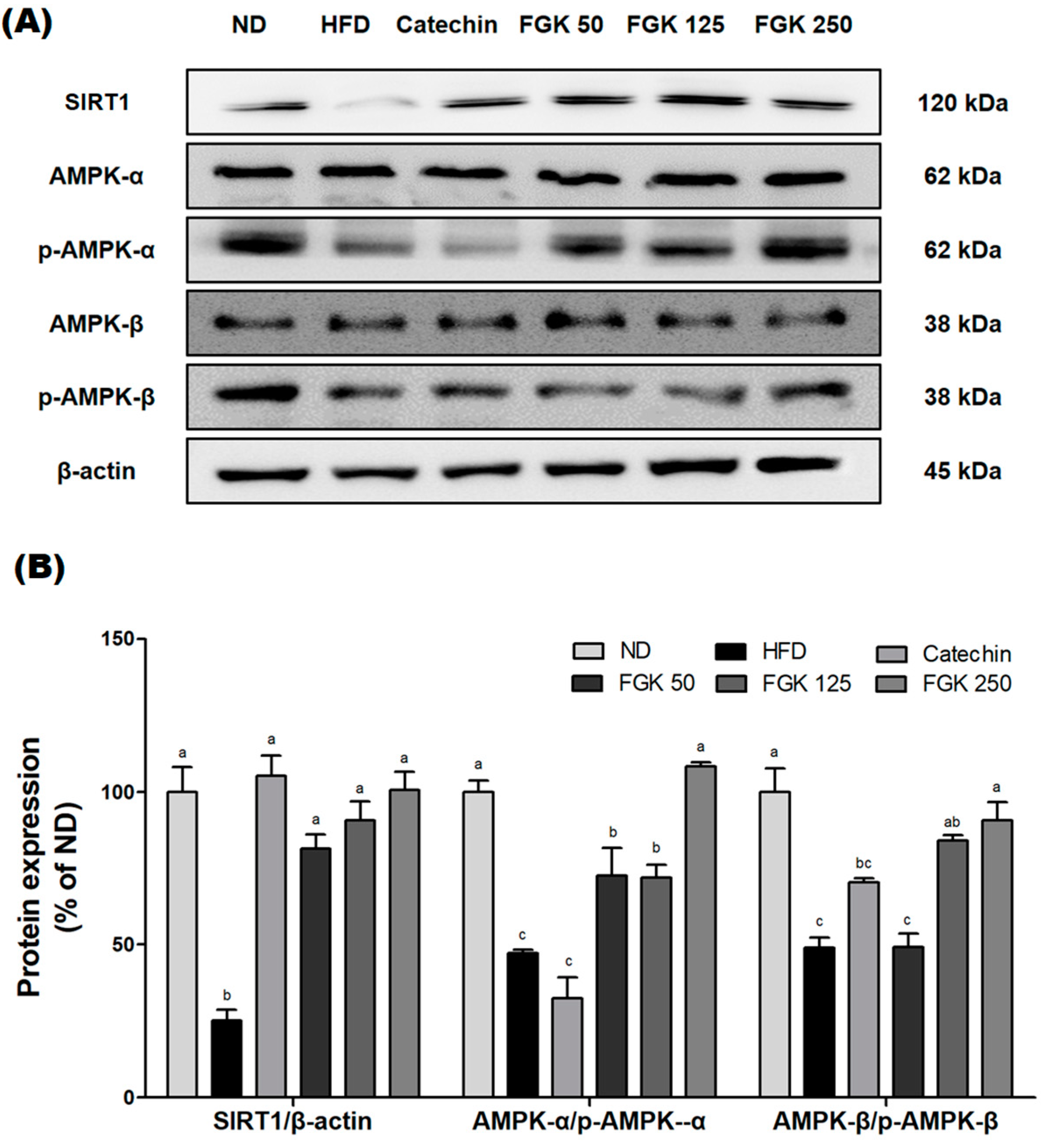 Applsci 14 11503 g008