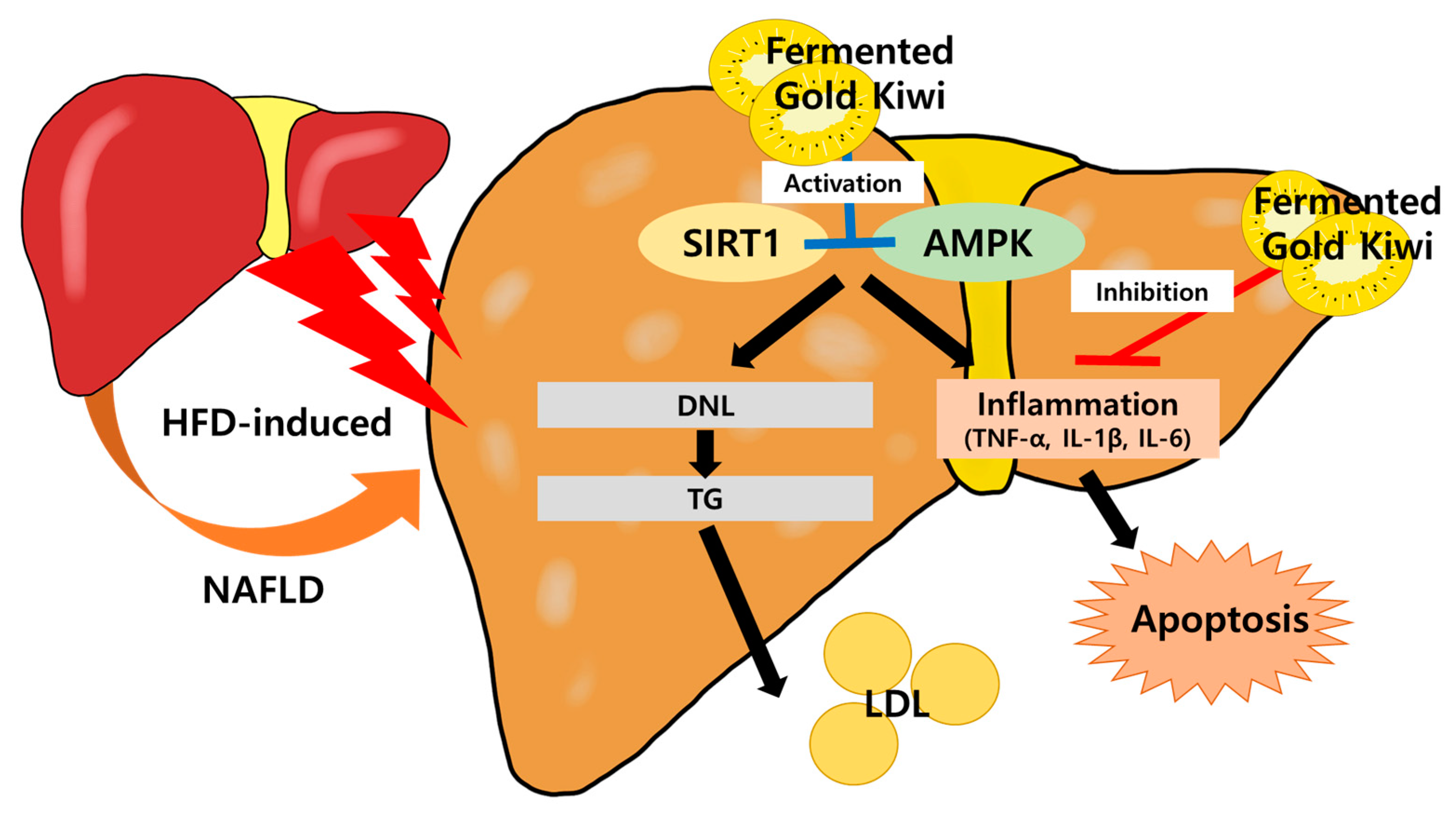 Applsci 14 11503 g009