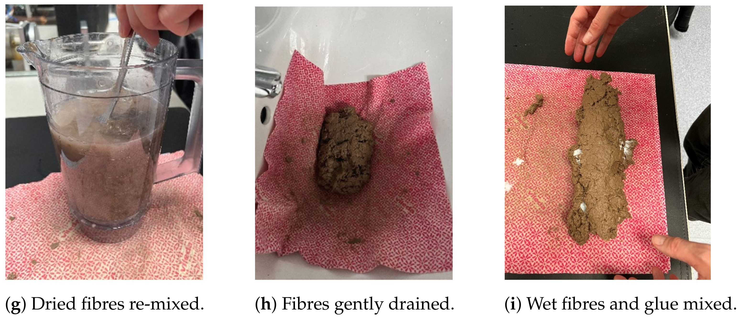 Applsci 14 11516 g0a1b