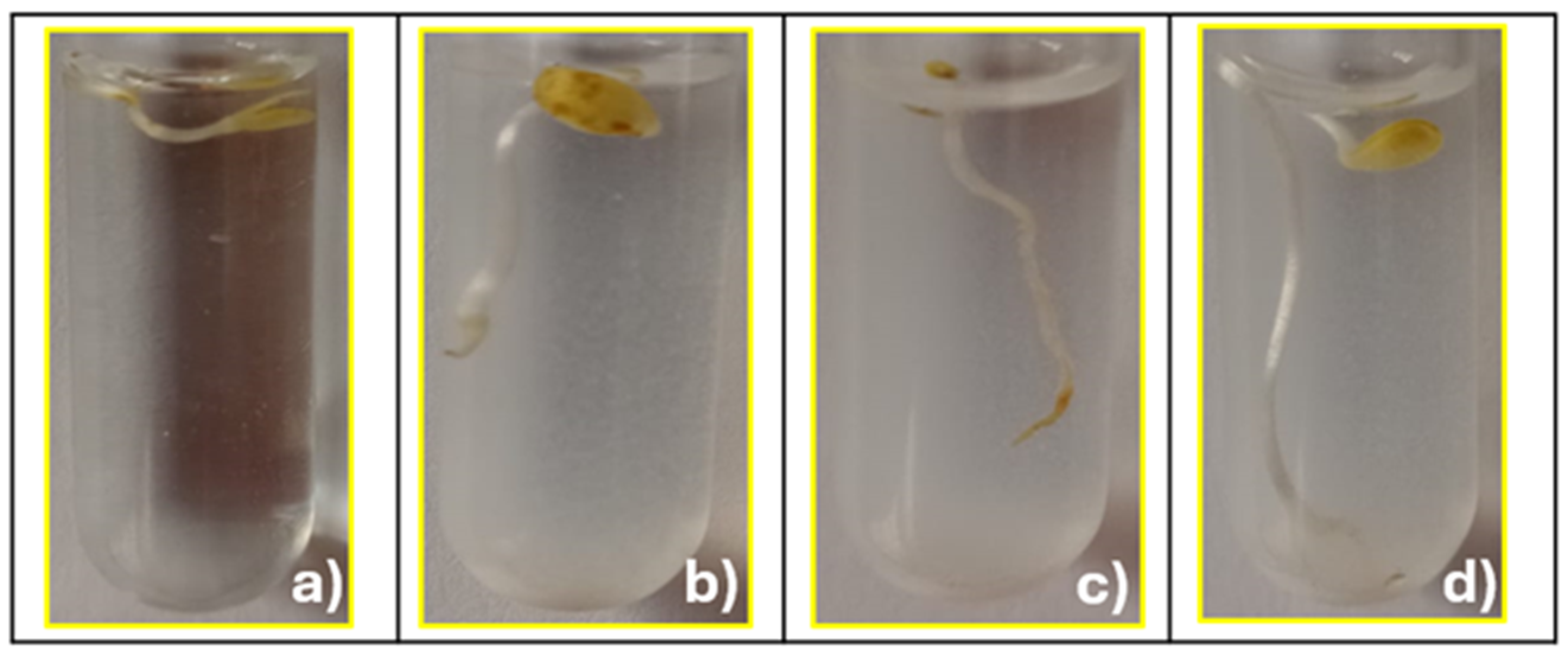 Applsci 14 11522 g011