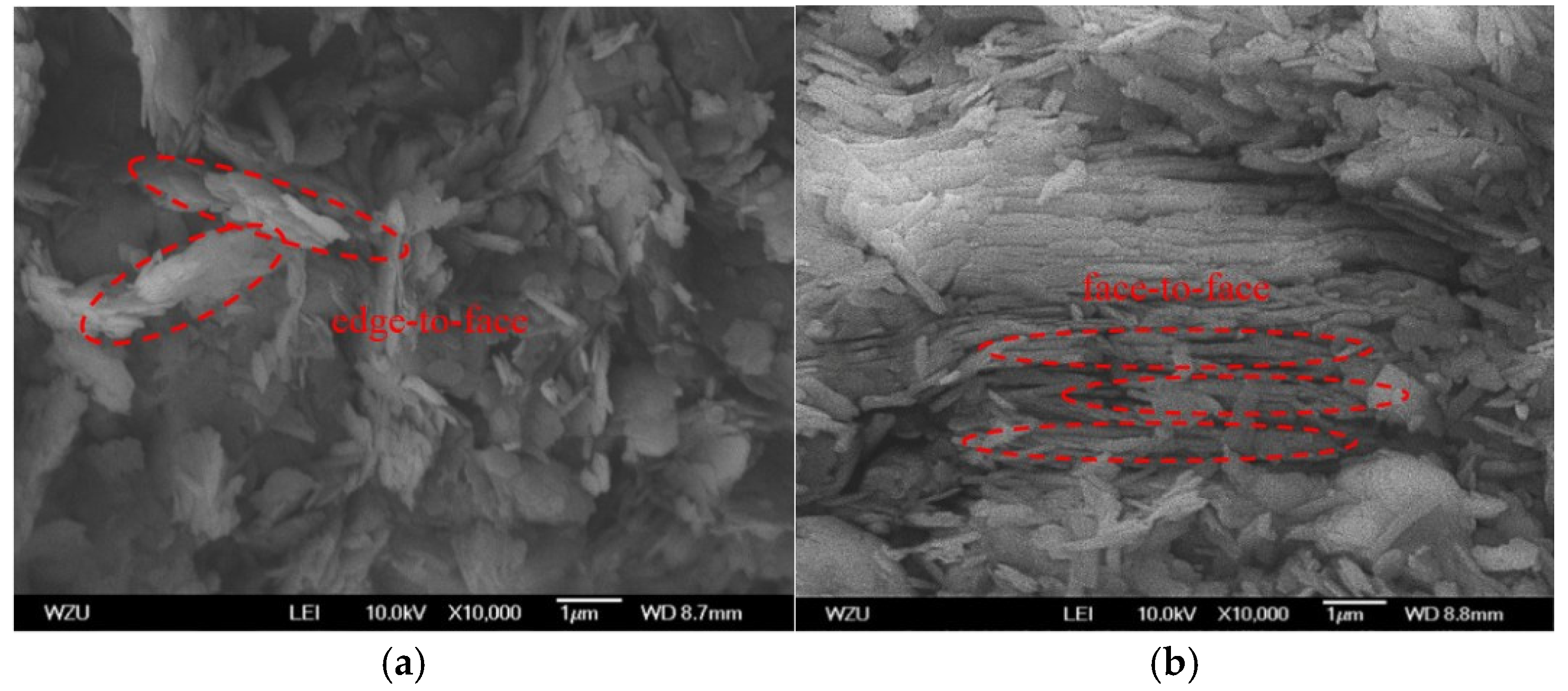 Applsci 14 11531 g005