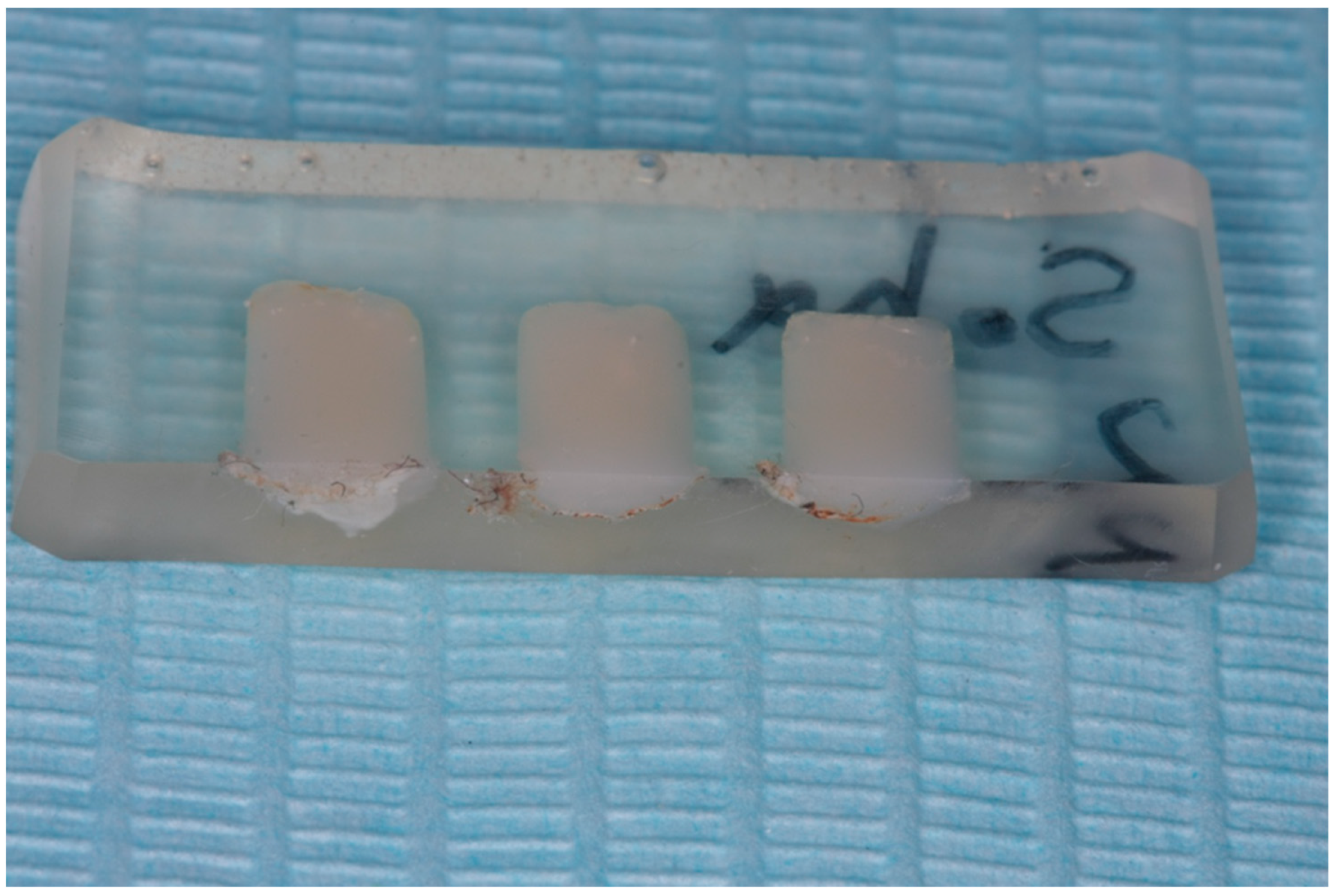 Applsci 14 11532 g002 Applsci 14 11532 g002