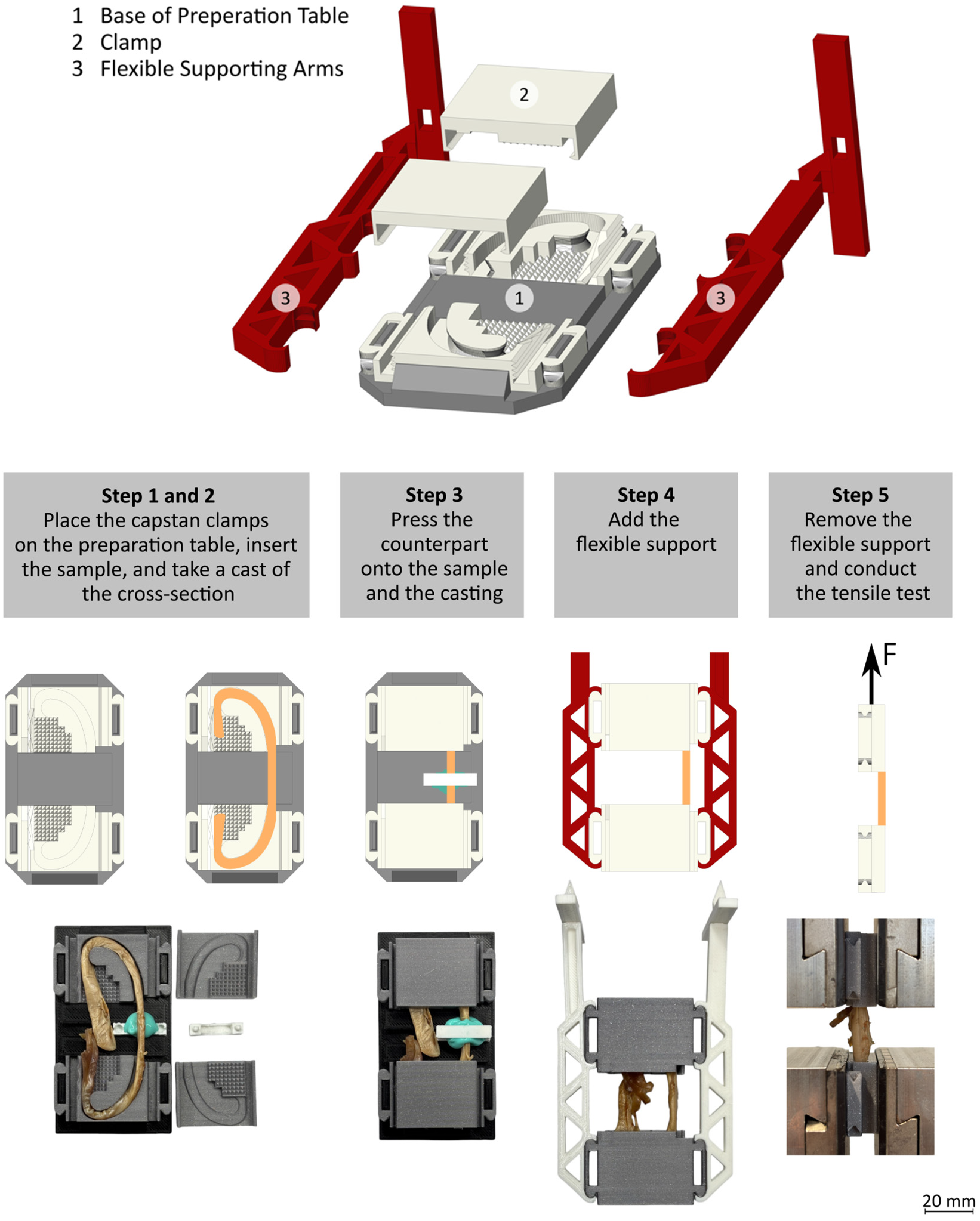 Applsci 14 11537 g002