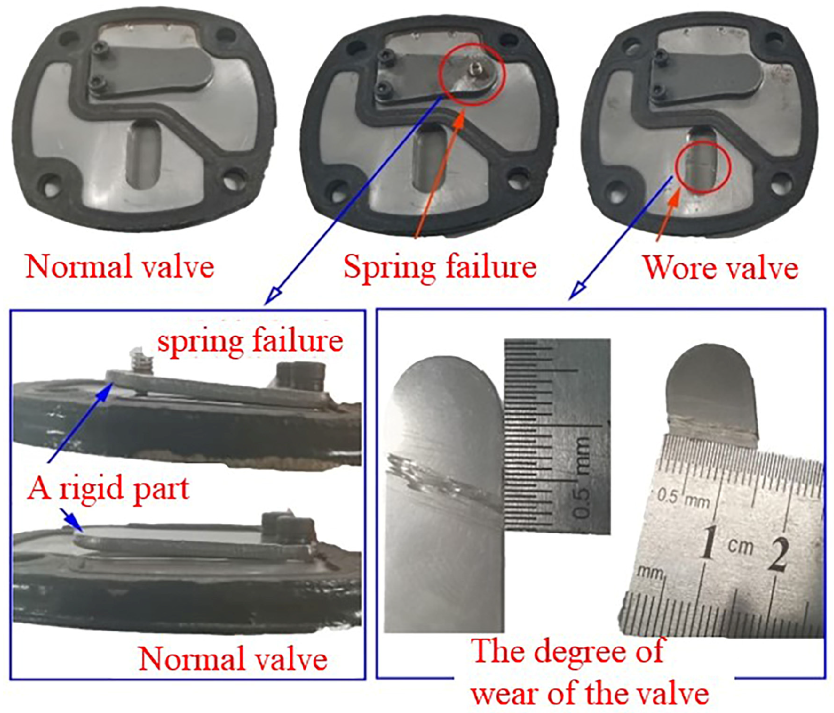 Applsci 14 11556 g006