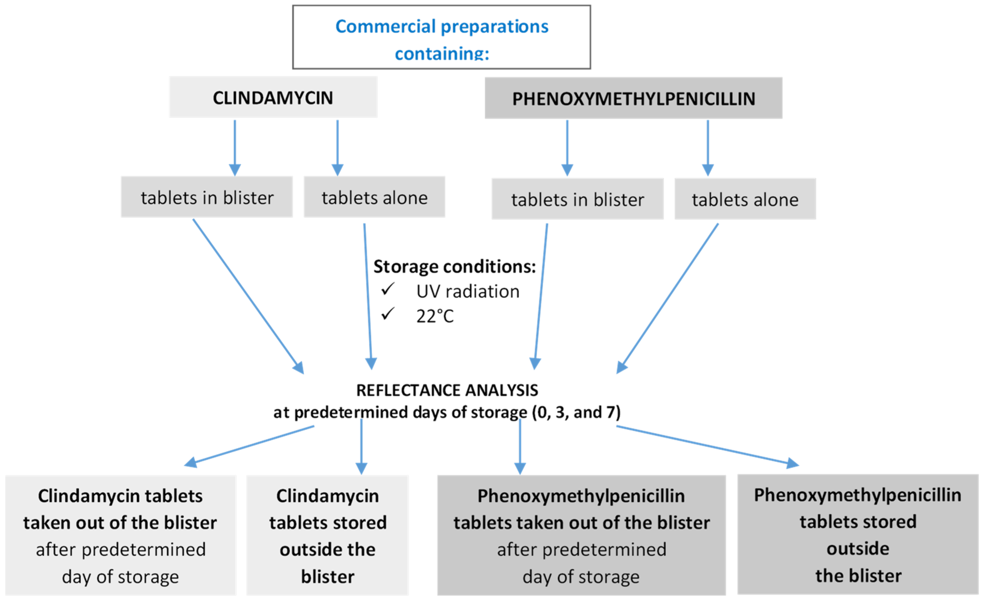 Applsci 14 11563 g001