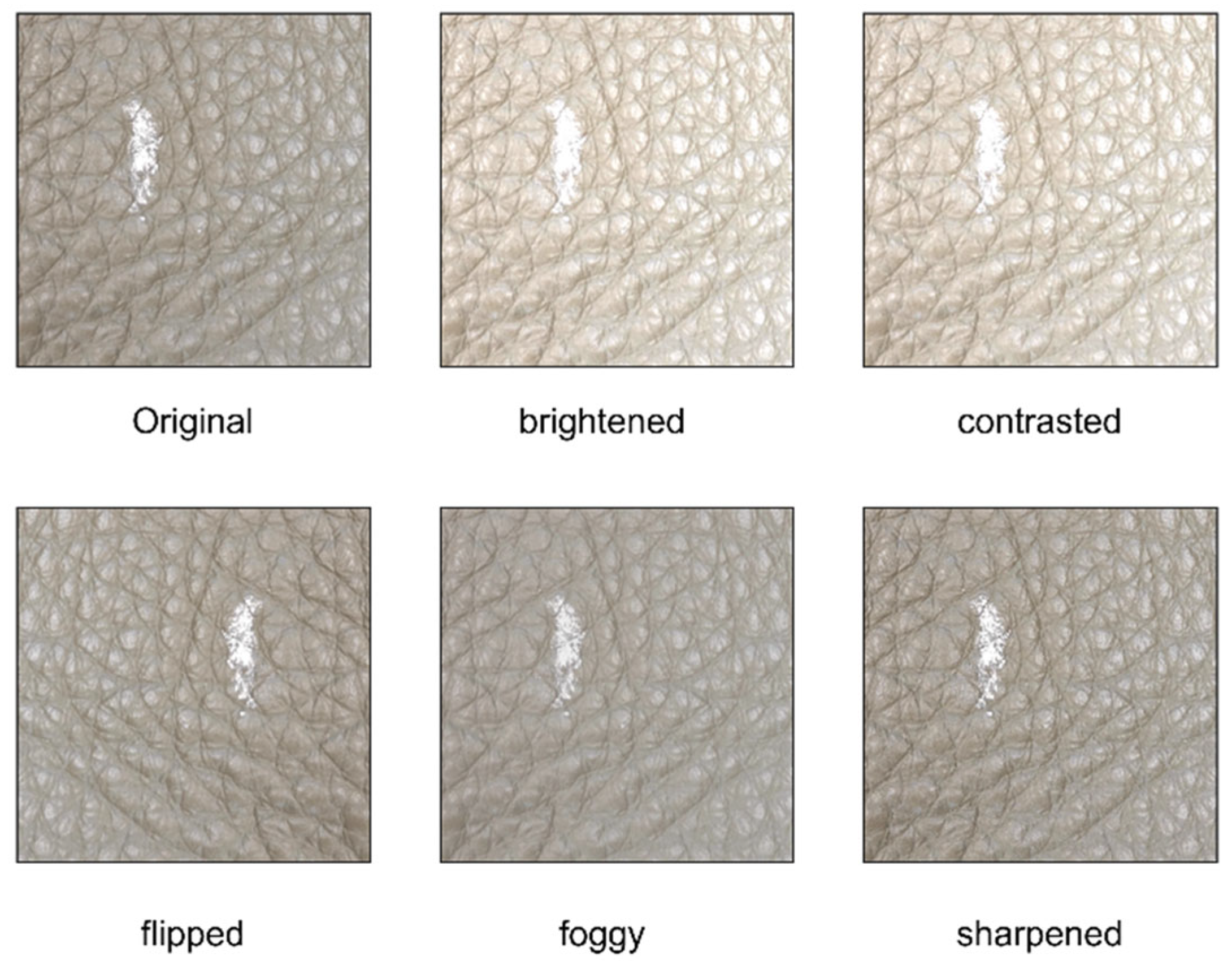 Applsci 14 11566 g002