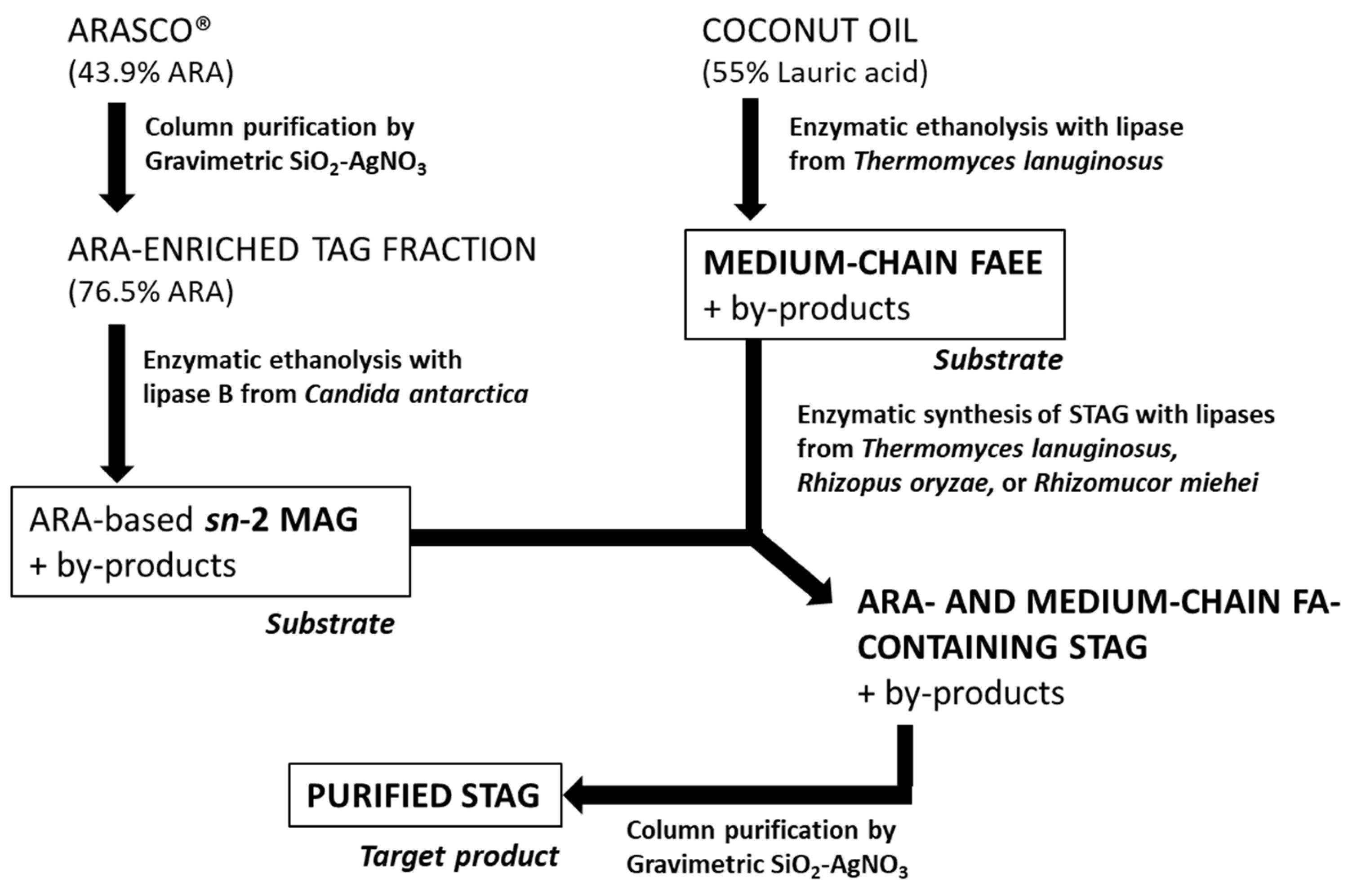 Applsci 14 11576 g001 Applsci 14 11576 g001