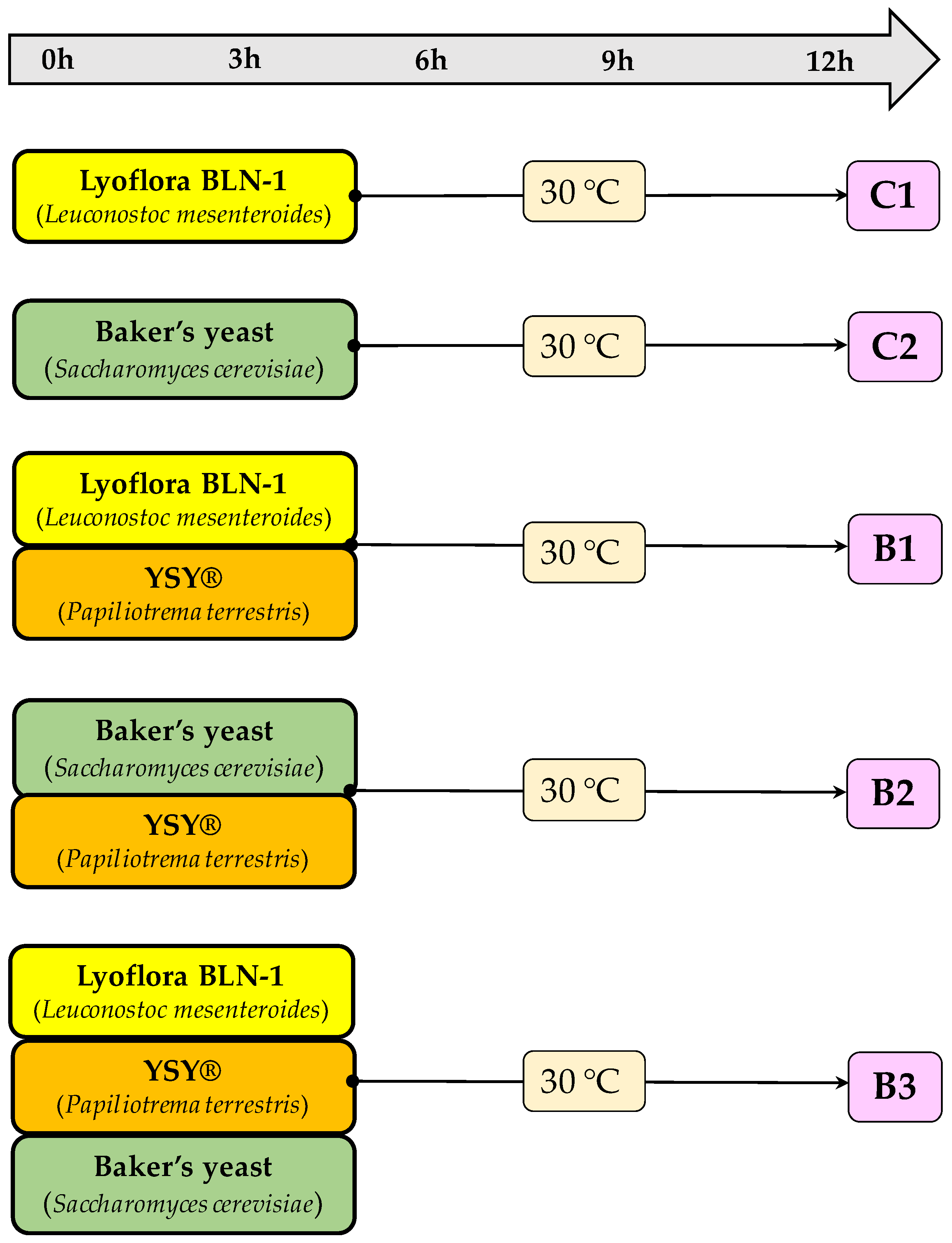 Applsci 14 11581 g001