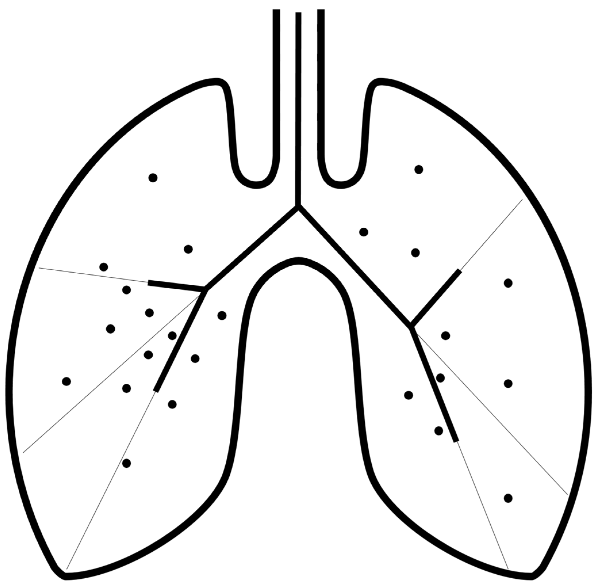 Principles of Respiratory Medicine: 9789388958585: Medicine