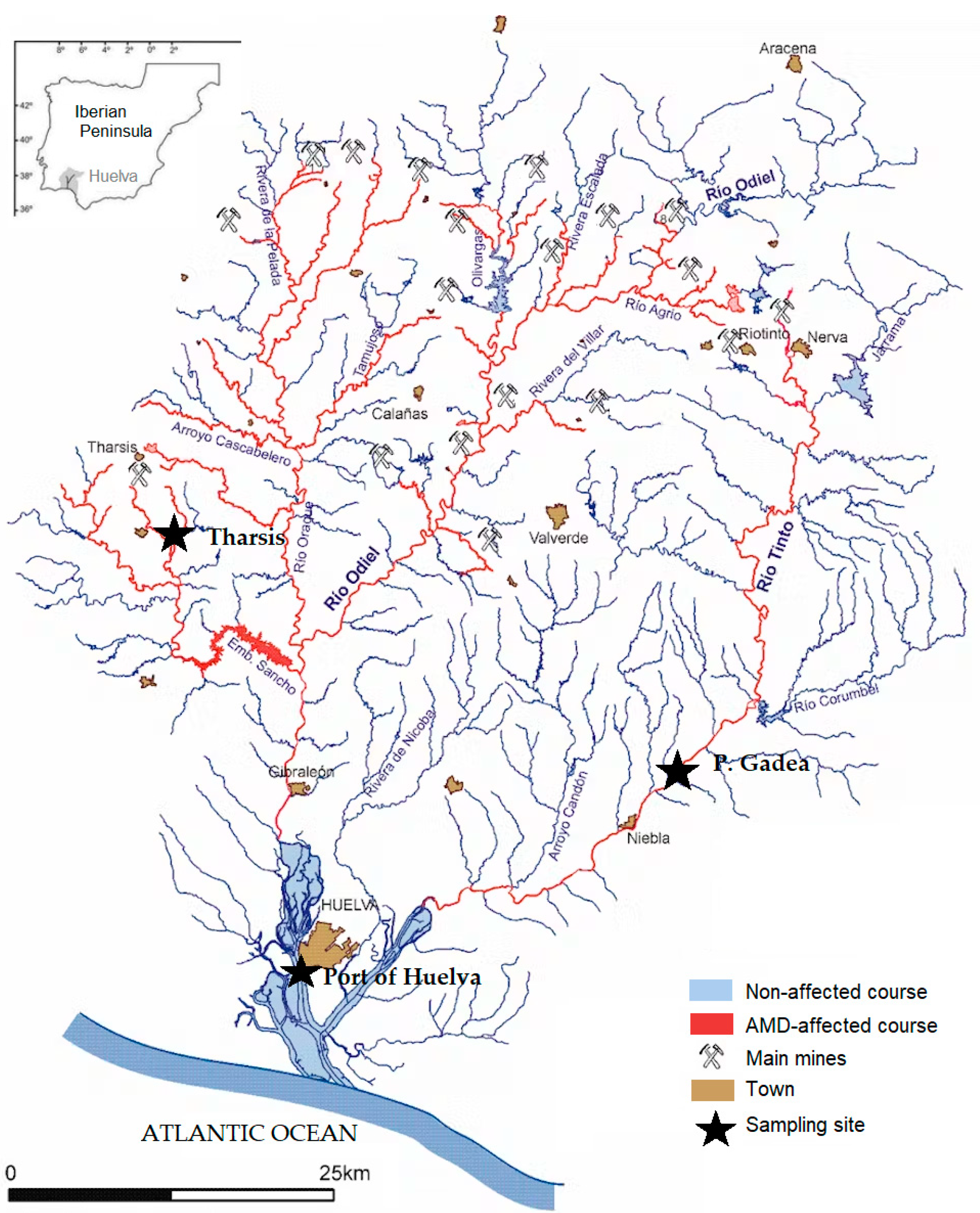 Applsci 14 11593 g001