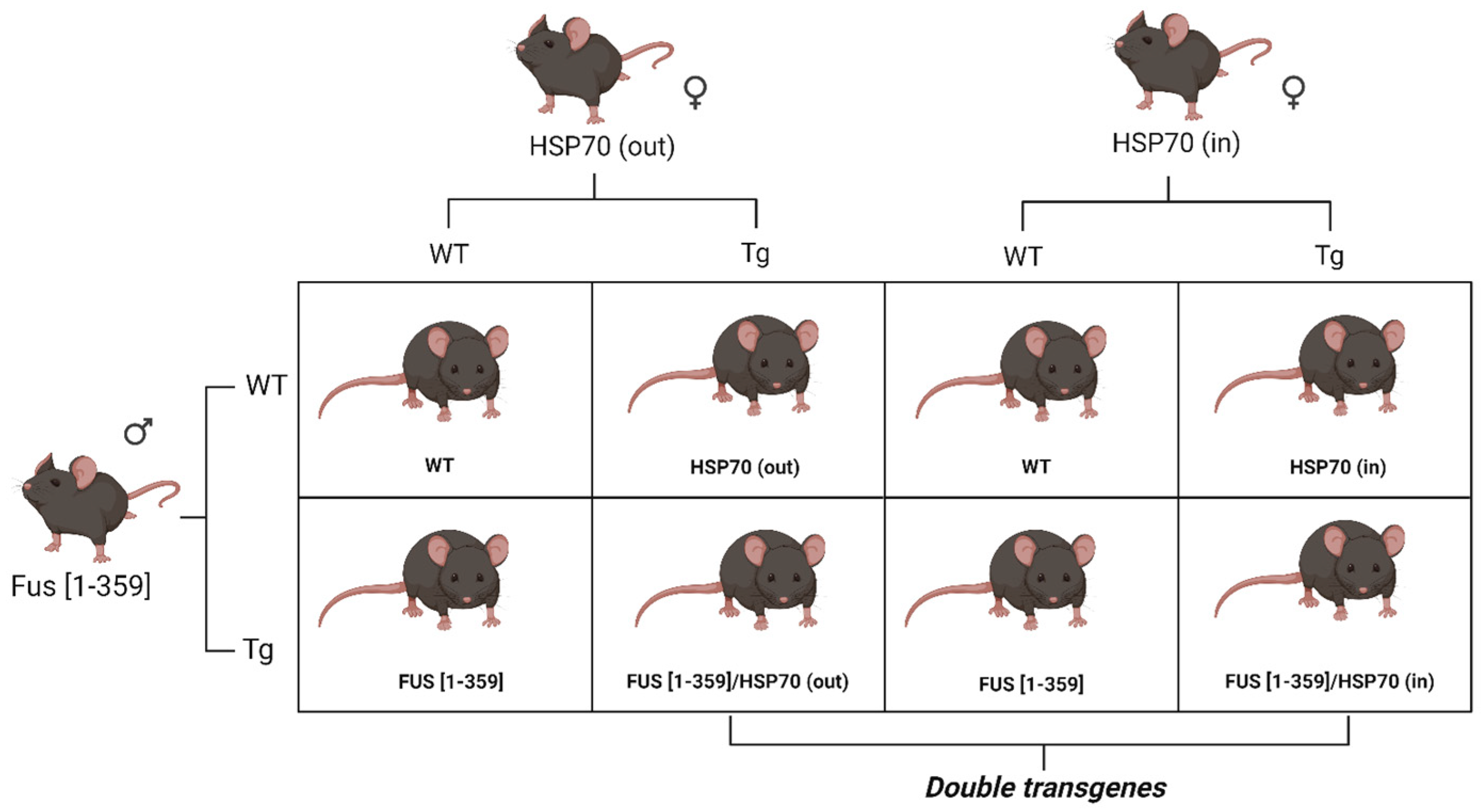 Applsci 14 11614 g001 Applsci 14 11614 g001
