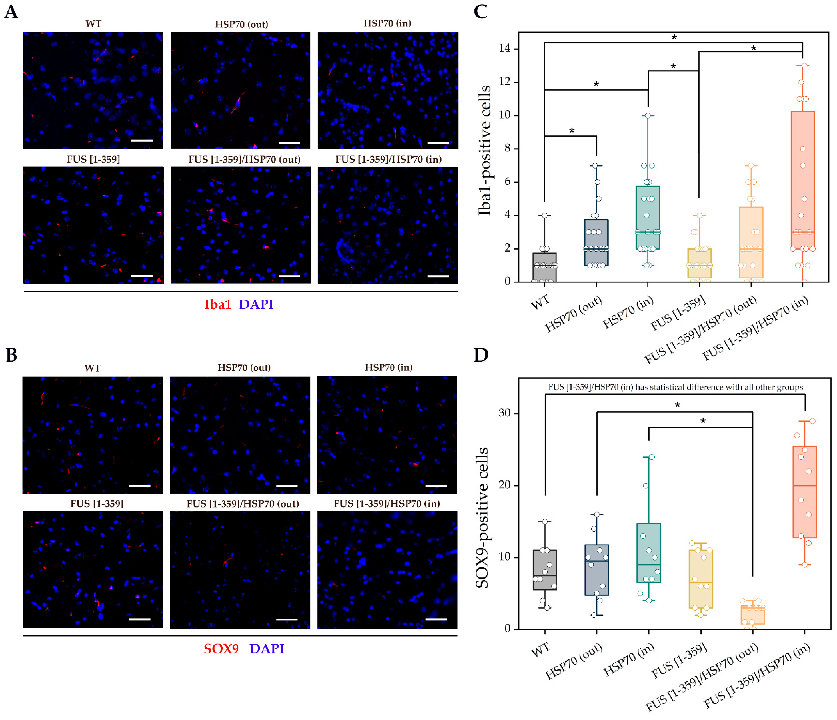 Applsci 14 11614 g005 Applsci 14 11614 g005