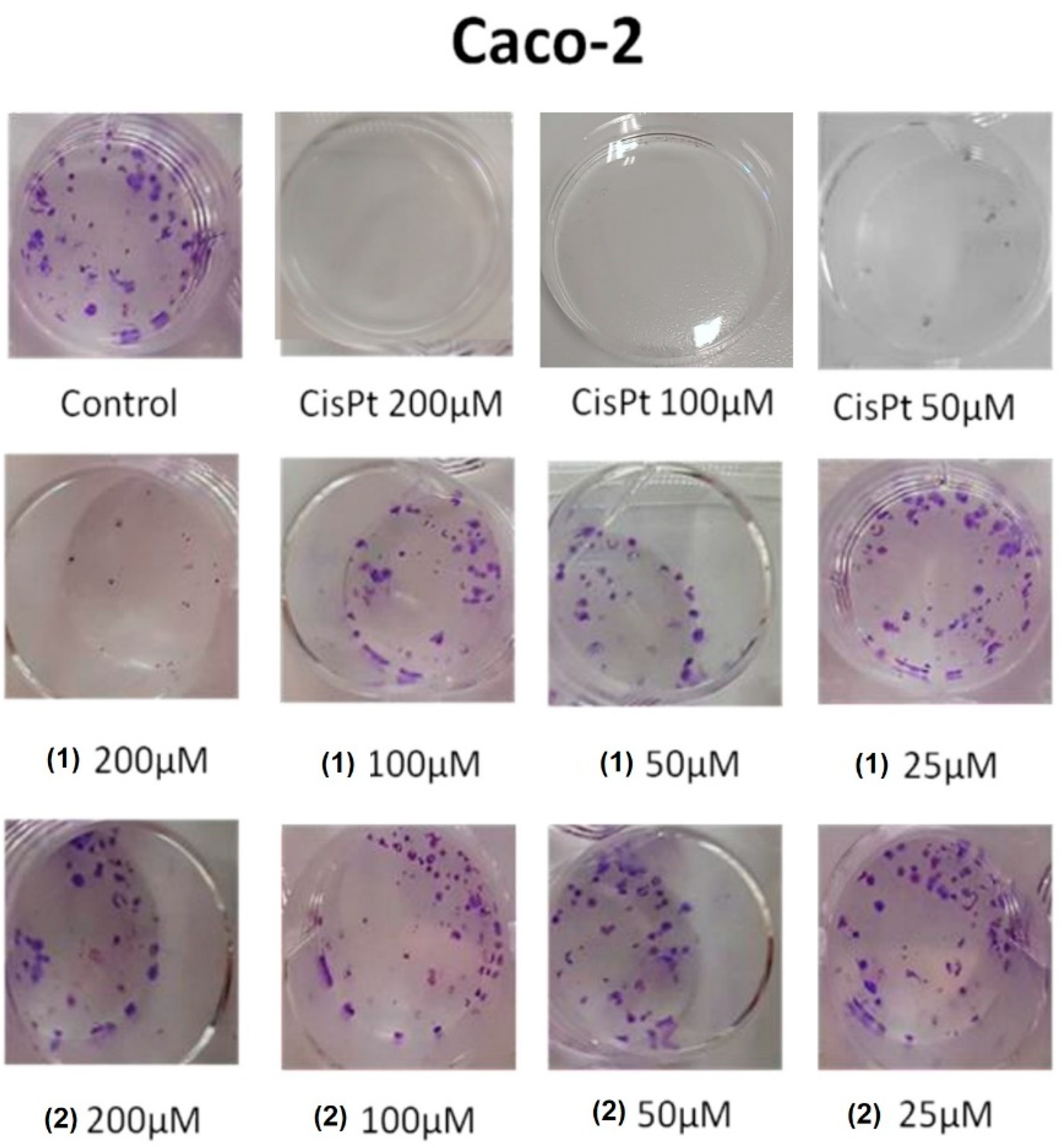 Applsci 14 11615 g008