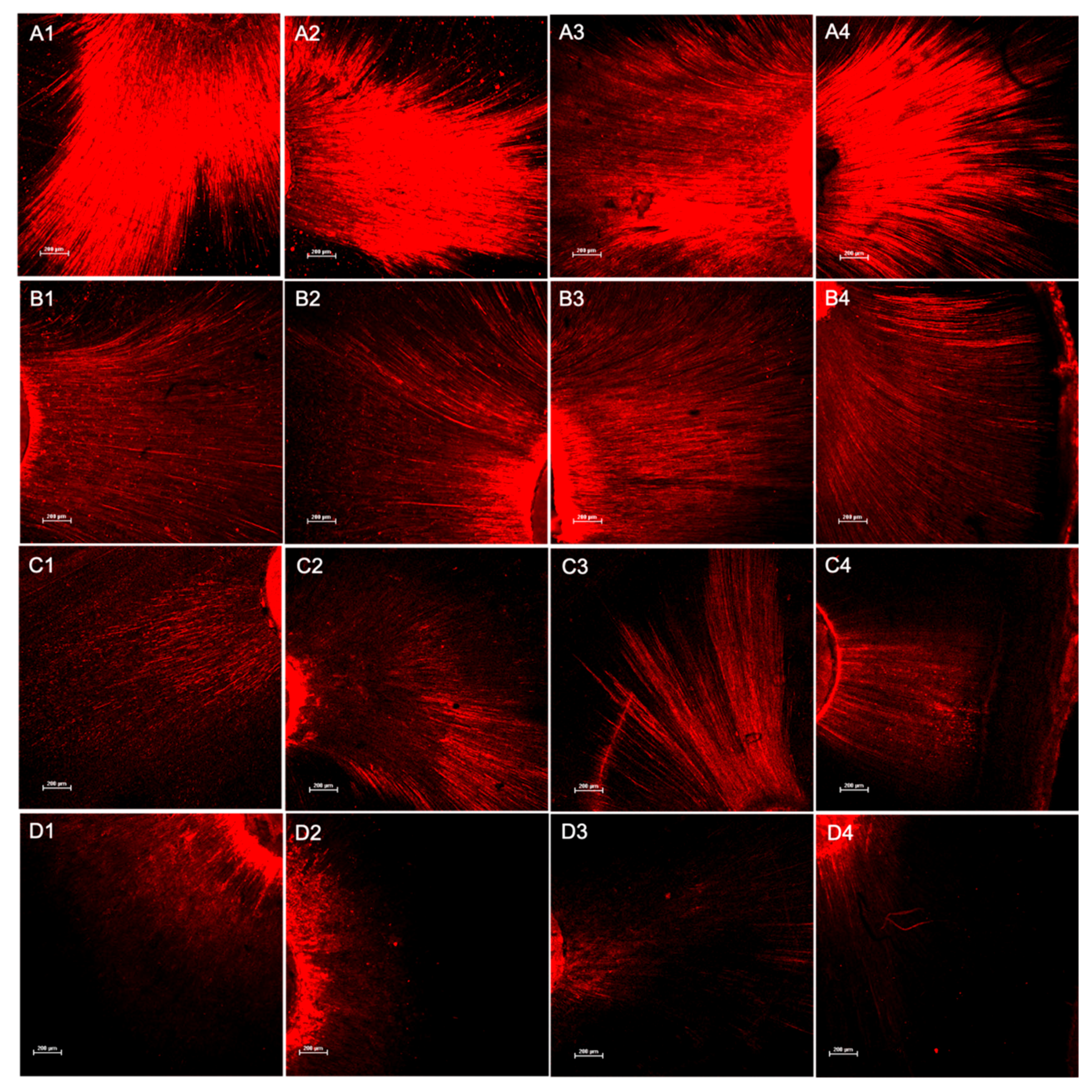 Applsci 14 11639 g004