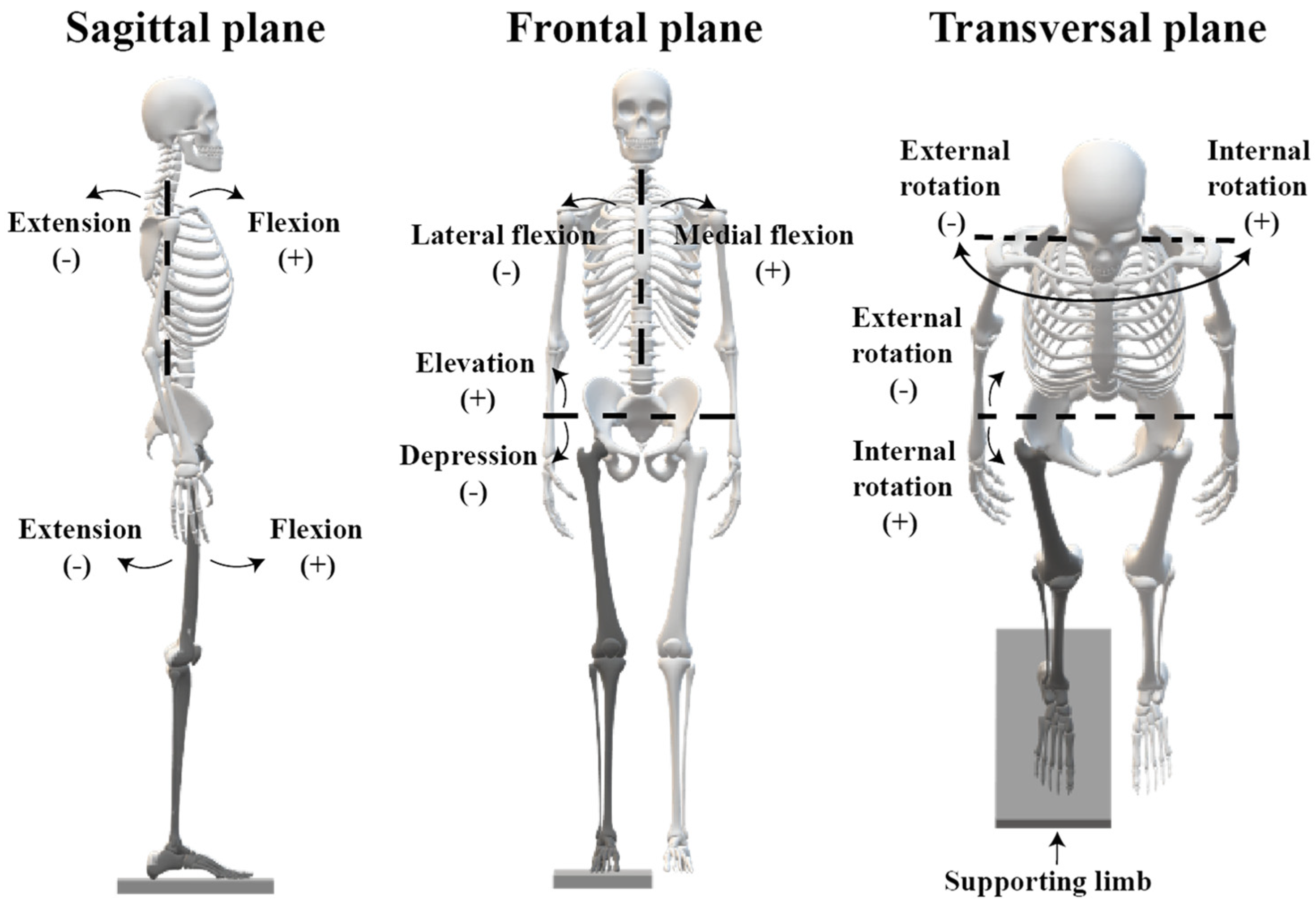 Applsci 14 11643 g002