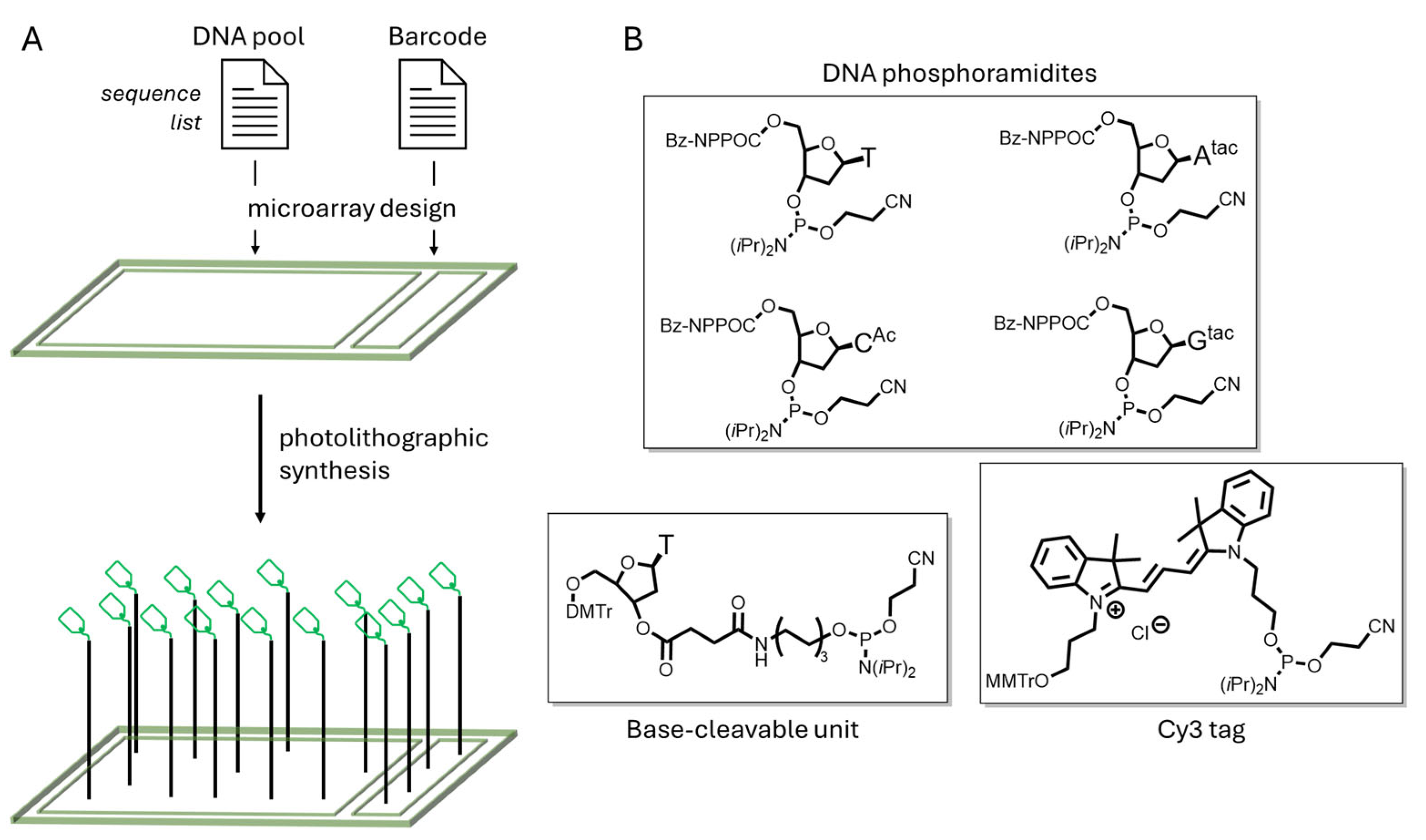 Applsci 14 11663 g002