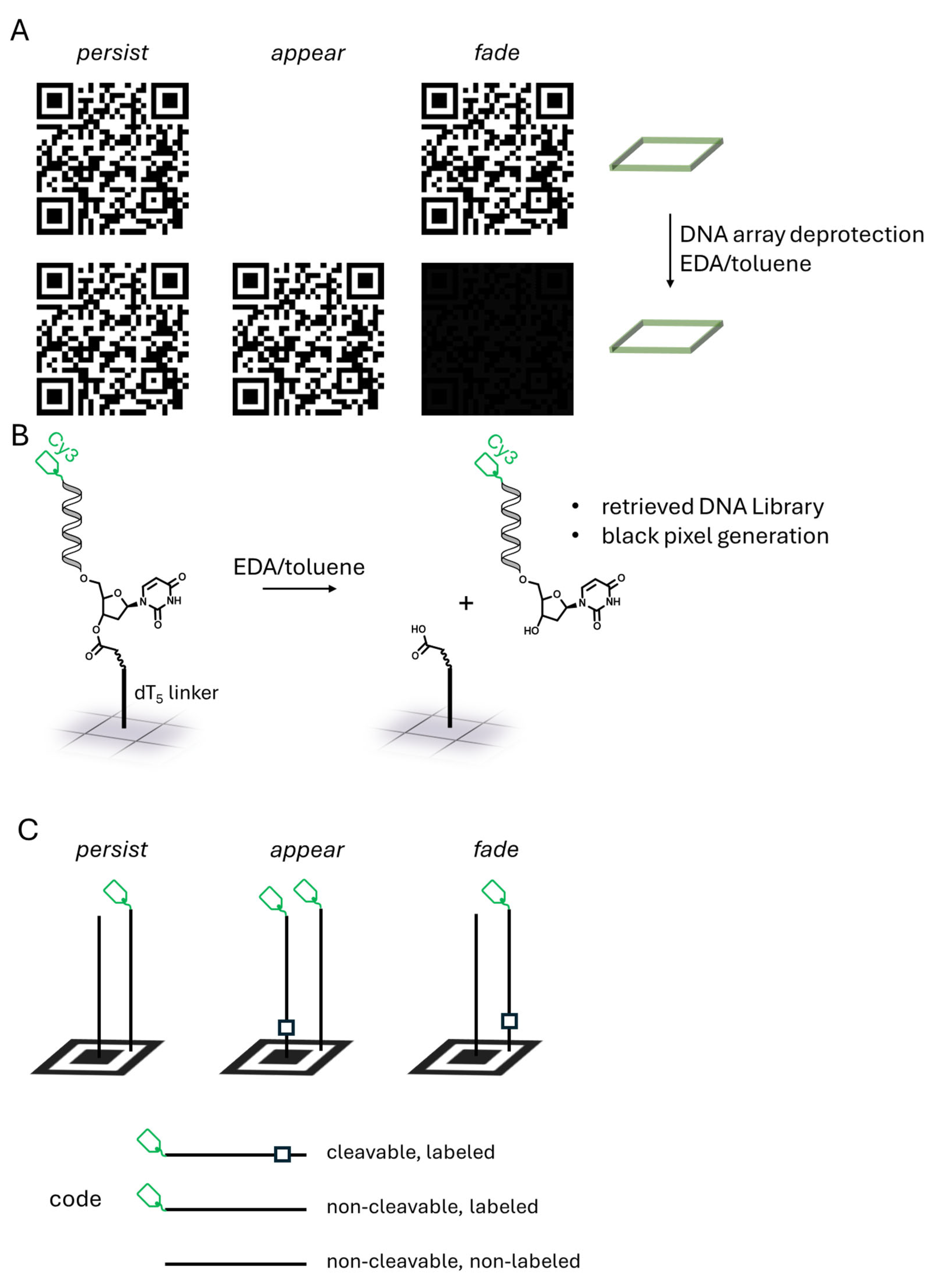 Applsci 14 11663 g003