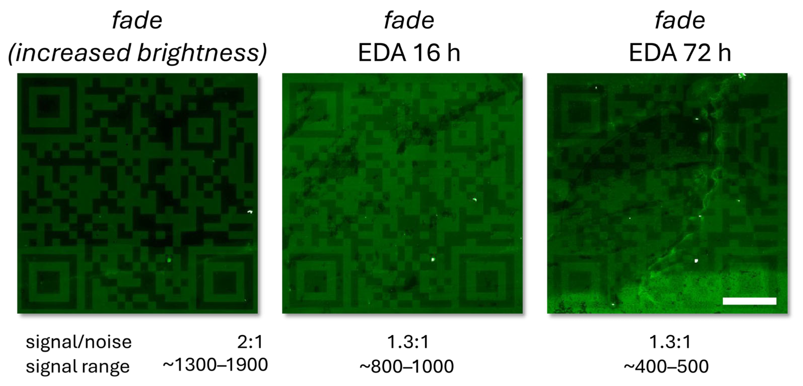 Applsci 14 11663 g005
