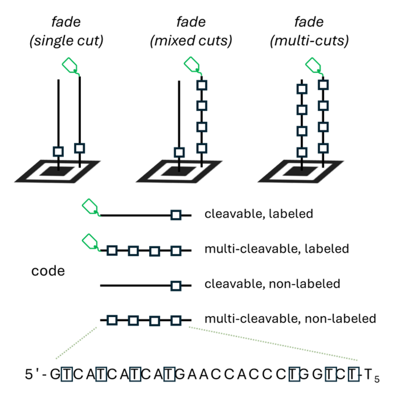 Applsci 14 11663 g006