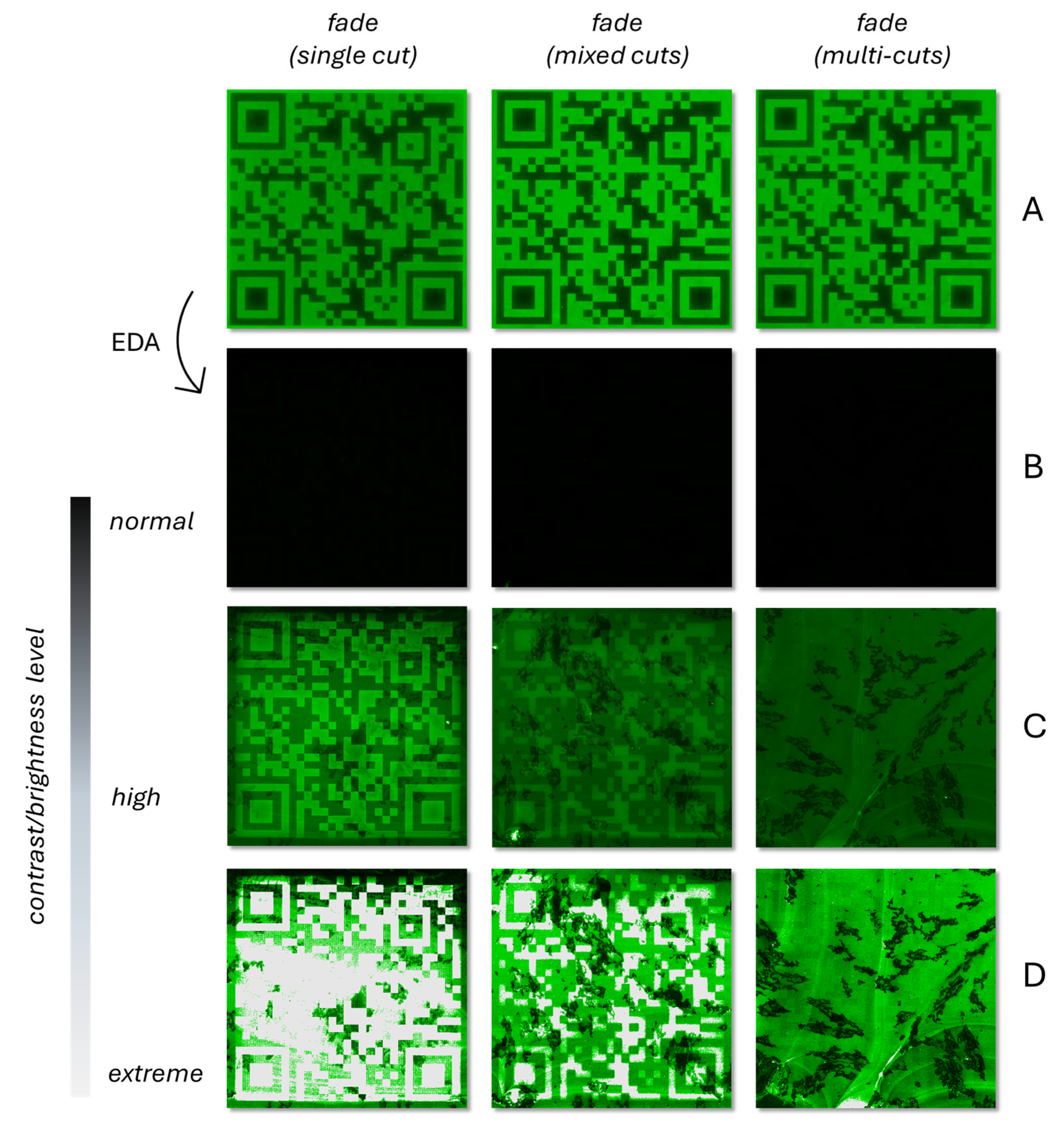 Applsci 14 11663 g007