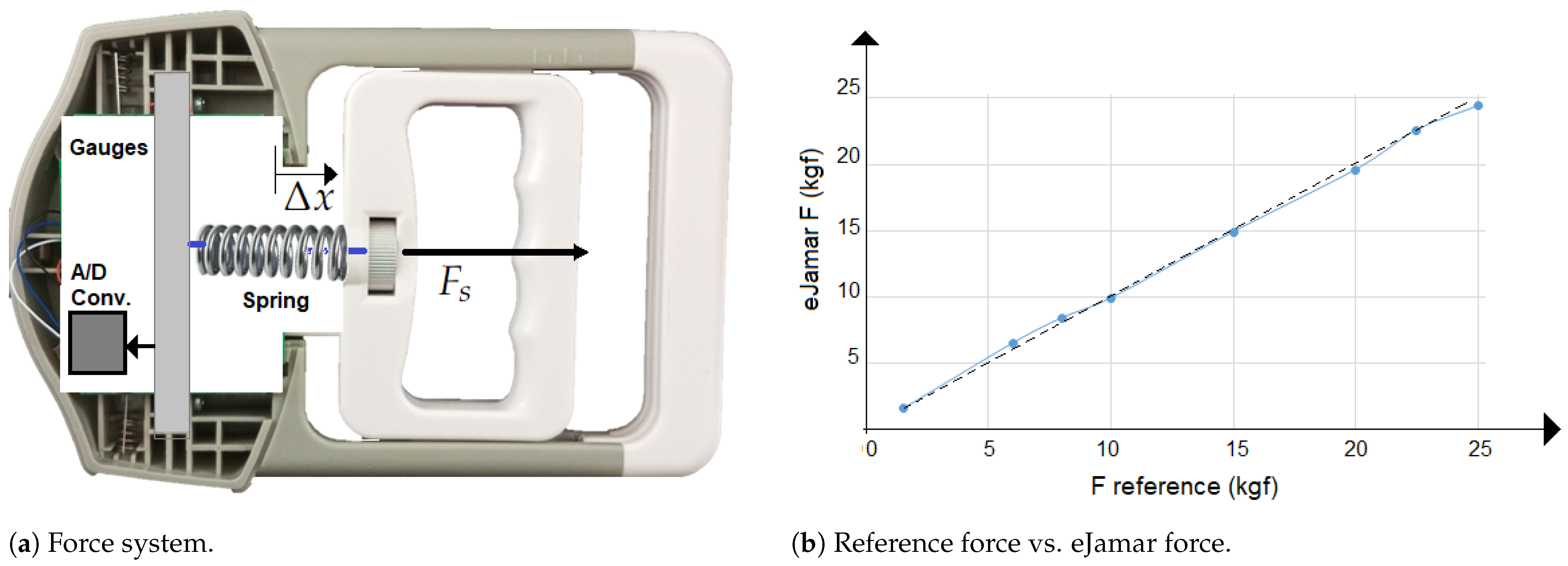 Applsci 14 11676 g004