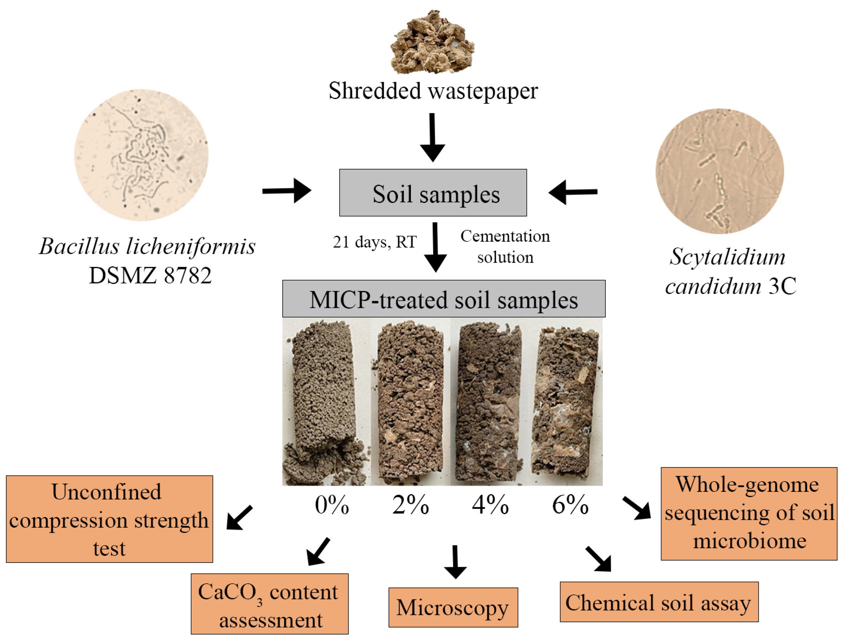 Applsci 14 11678 g001