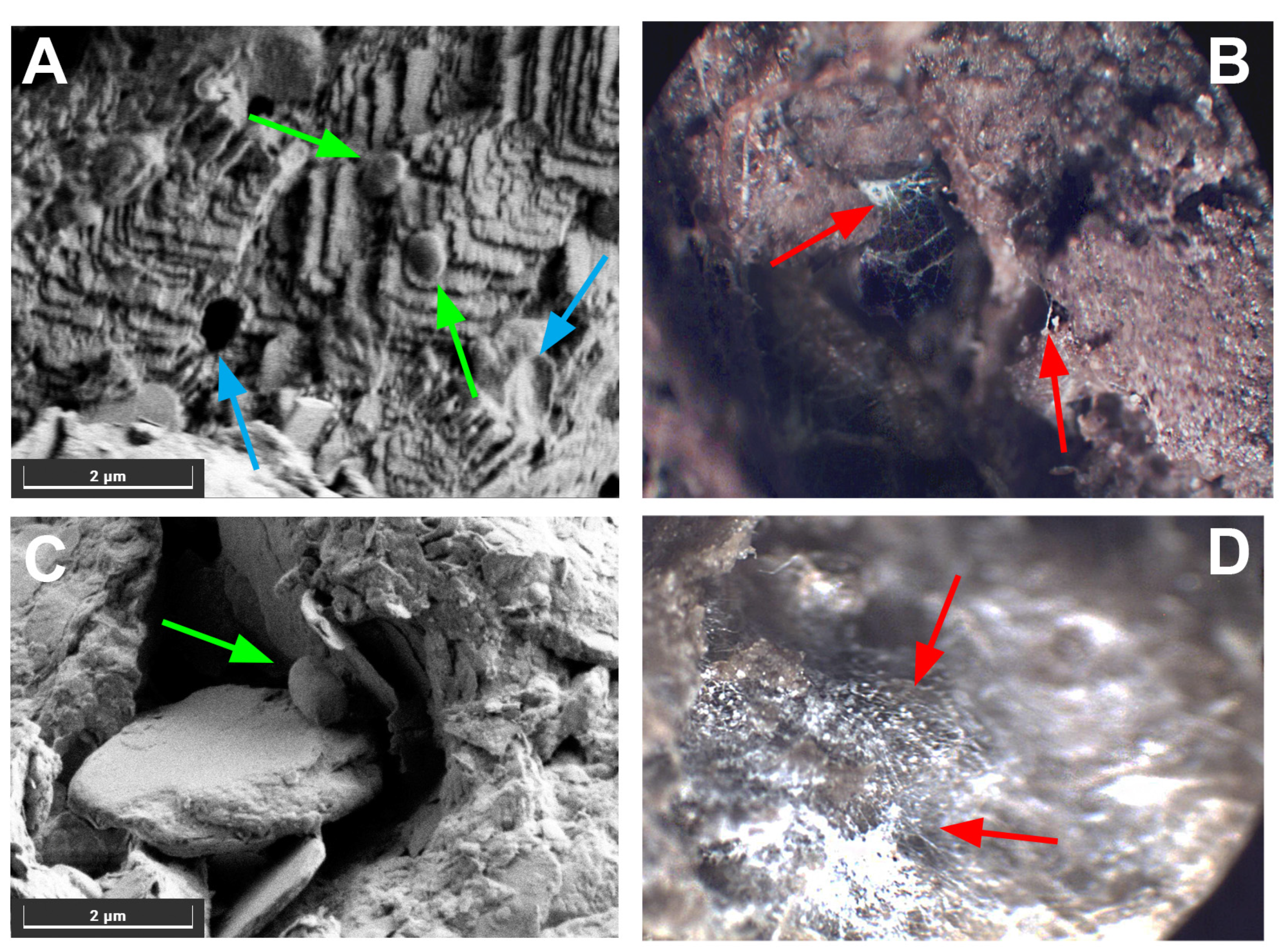 Applsci 14 11678 g004