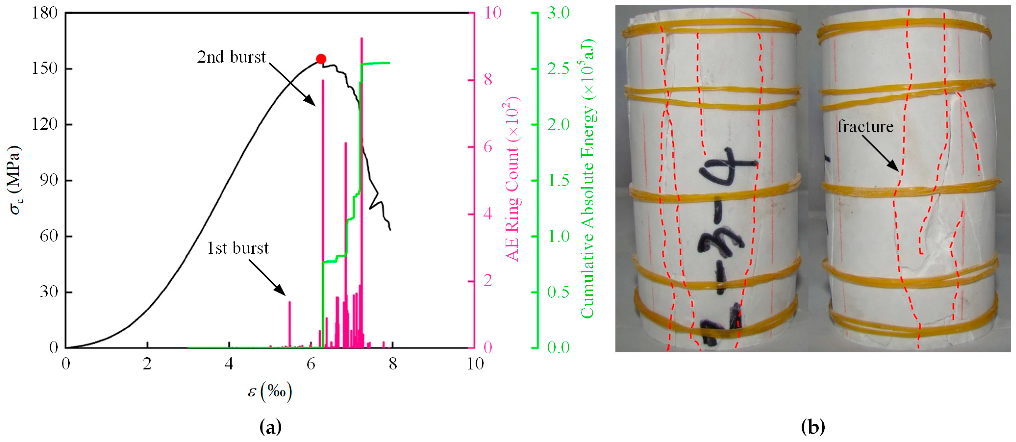 Applsci 14 11694 g014