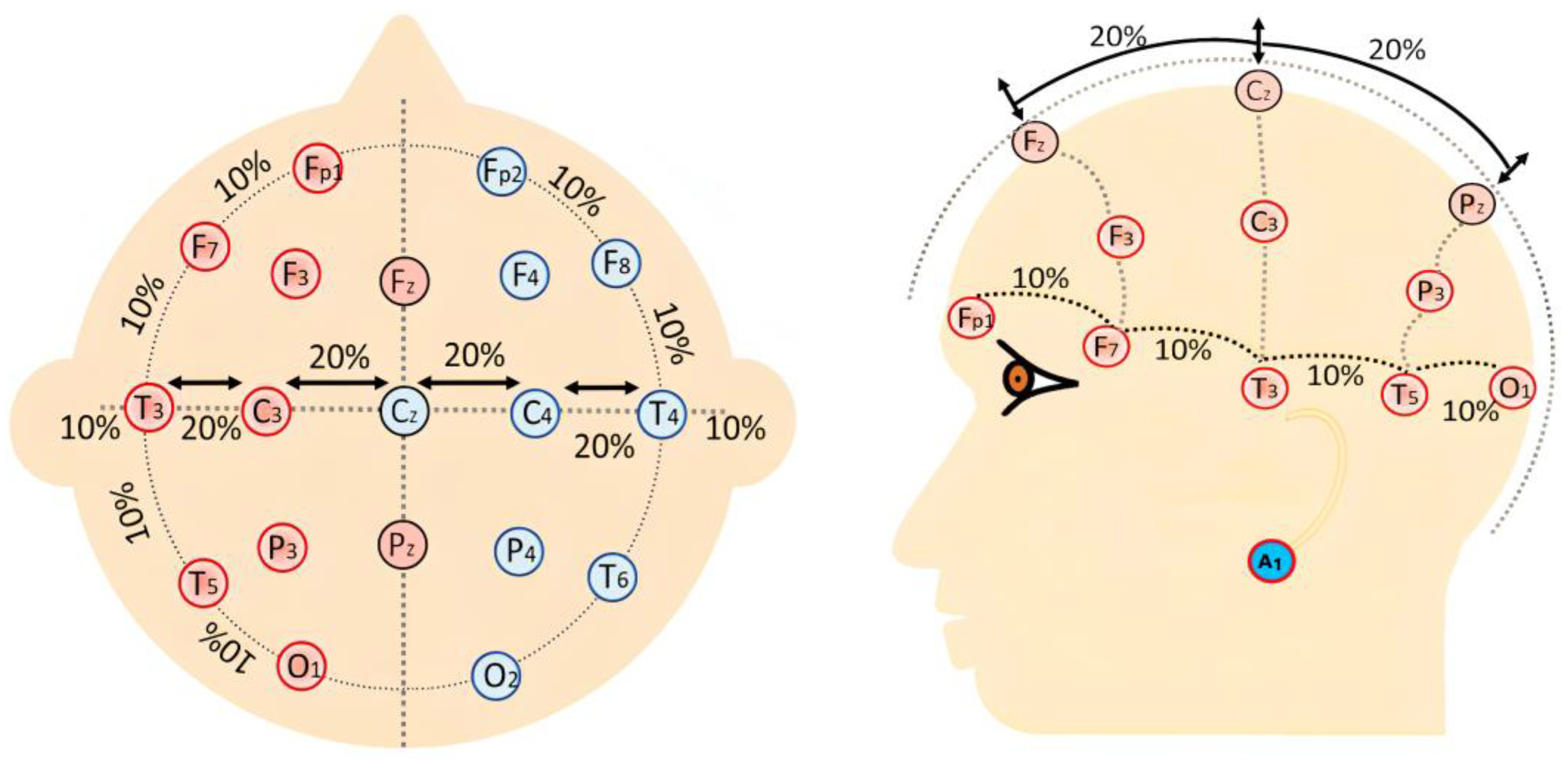 Applsci 14 11702 g001