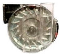 Applsci 14 11707 i013