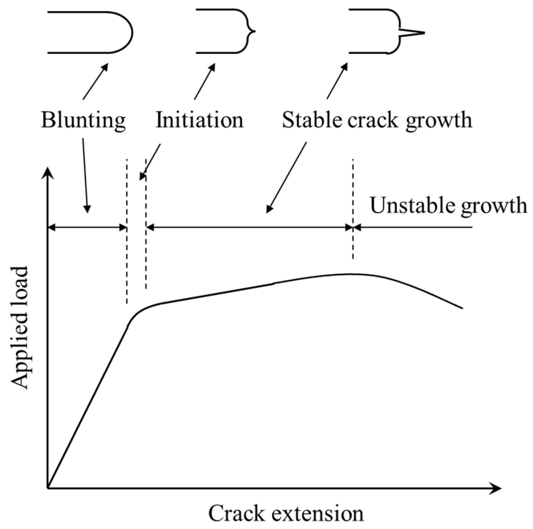 Applsci 14 11712 g0a1