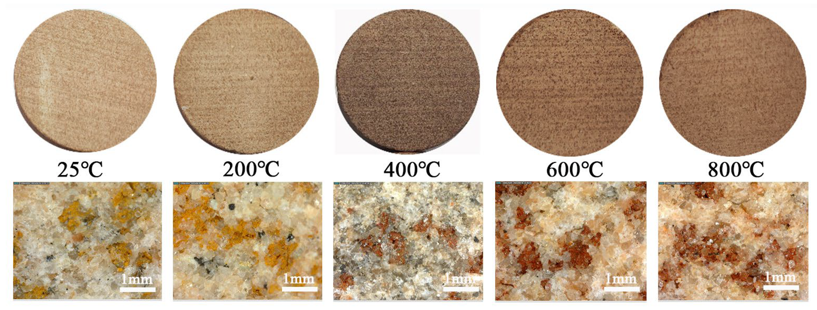 Applsci 14 11729 g004