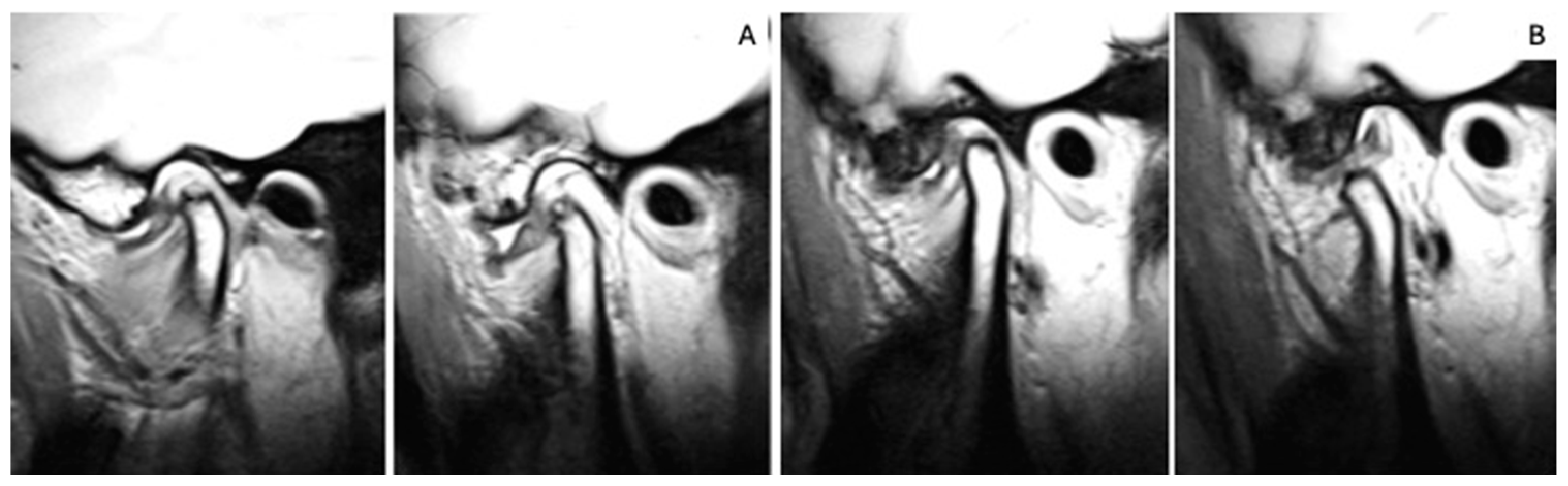 Applsci 14 11743 g001