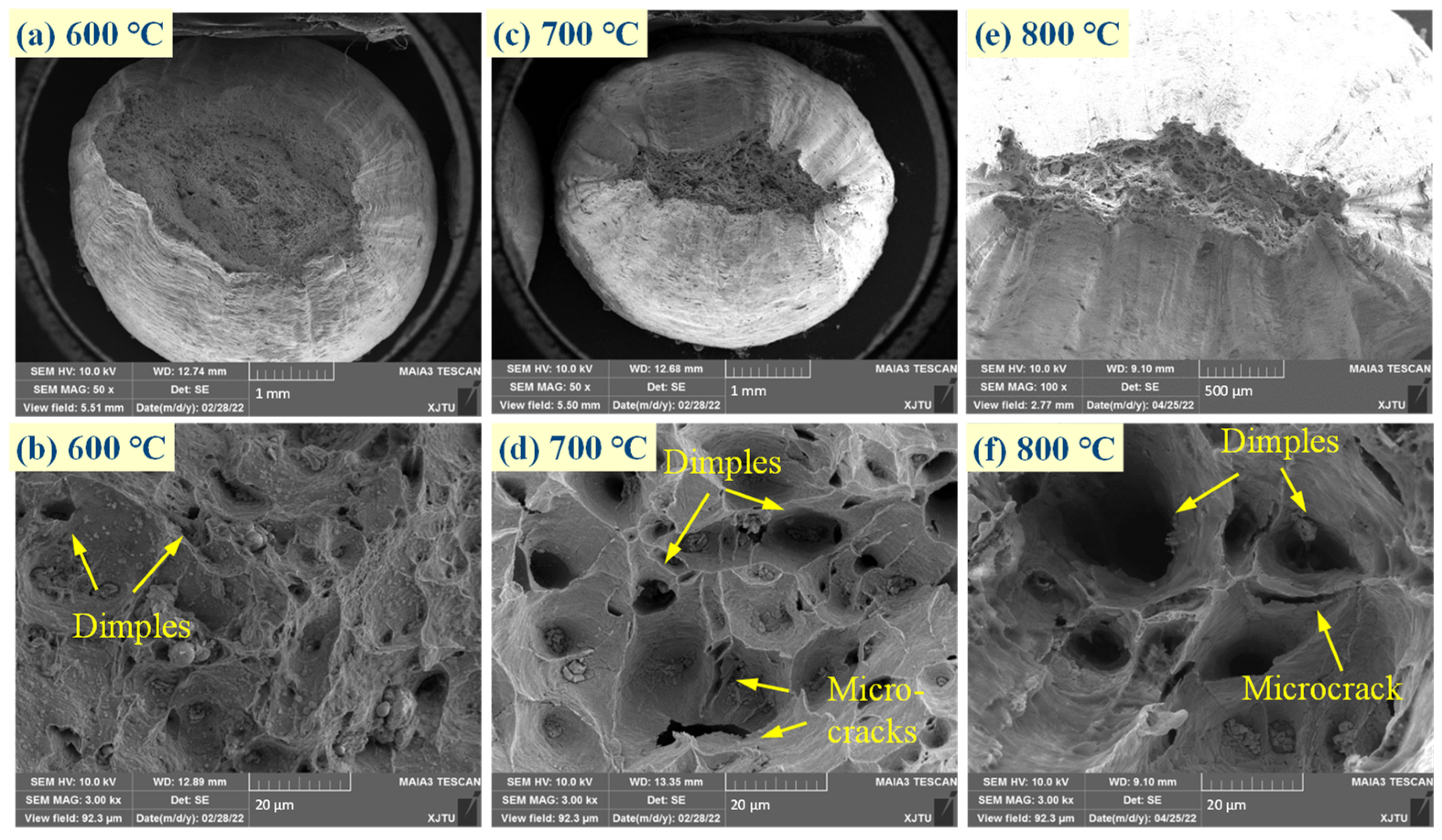 Applsci 14 11748 g009 Applsci 14 11748 g009