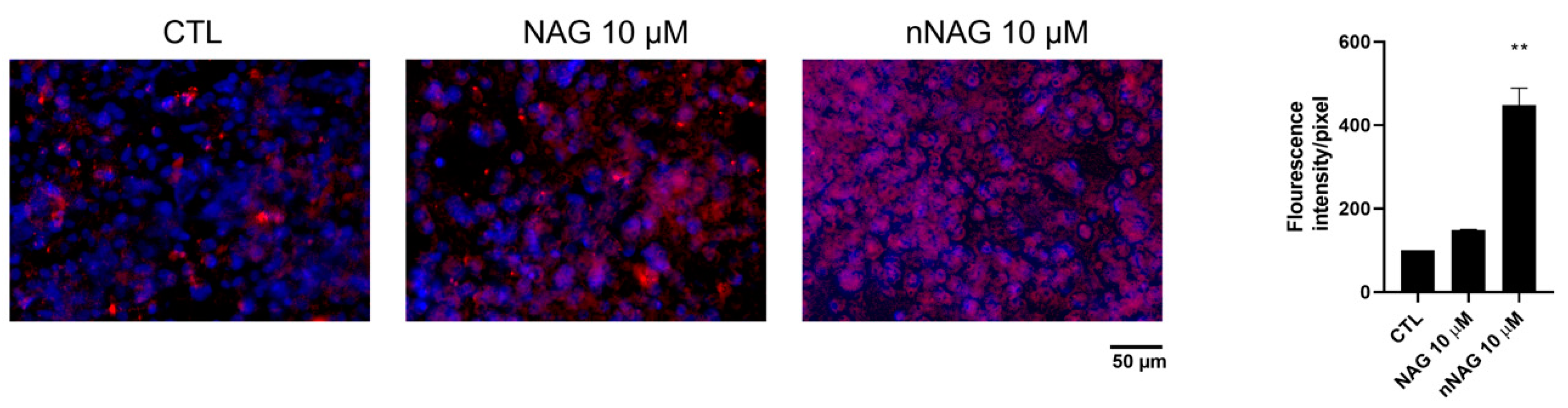 Applsci 14 11752 g001