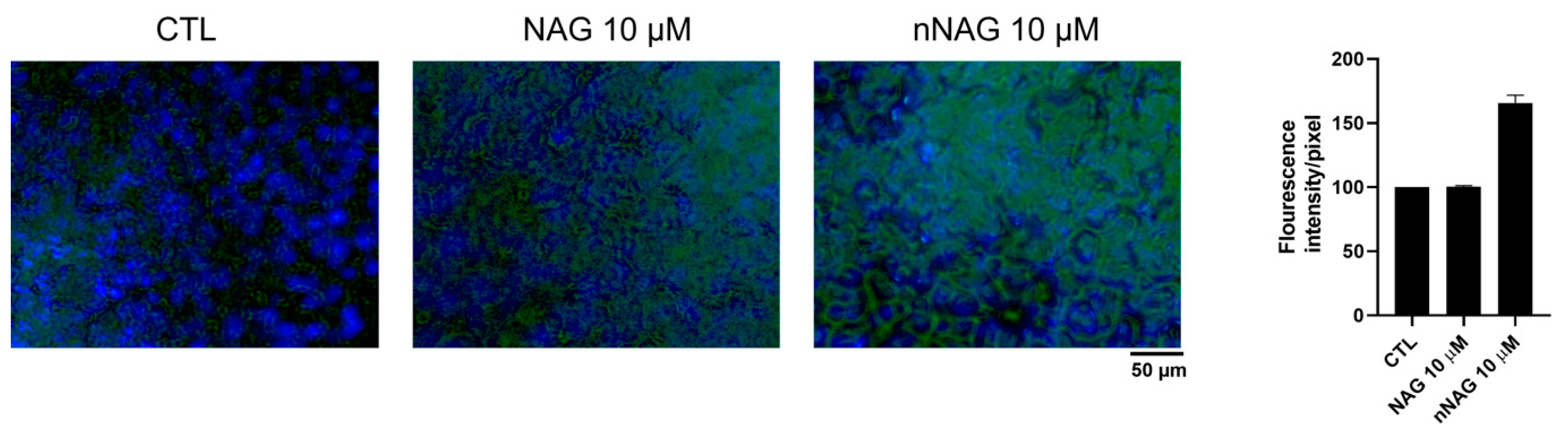 Applsci 14 11752 g003