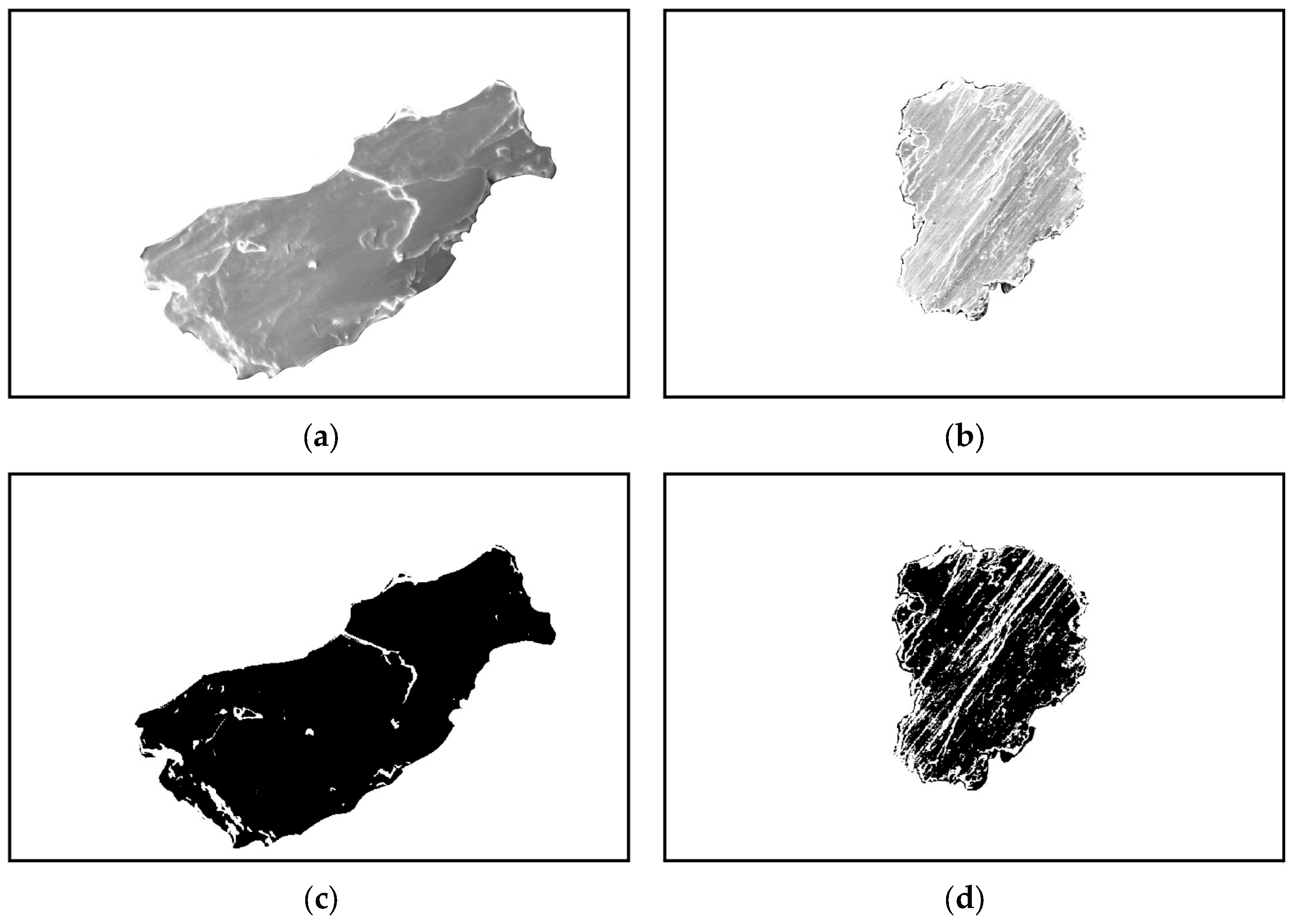 Applsci 14 11762 g007