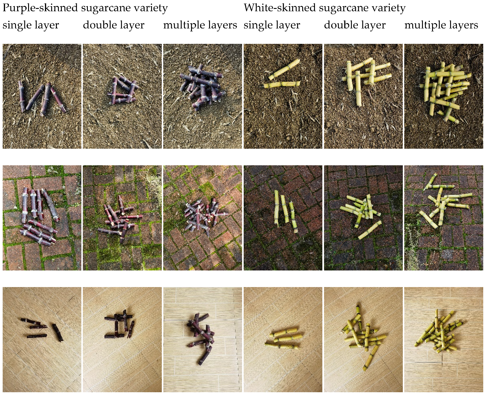 Applsci 14 11765 g005a