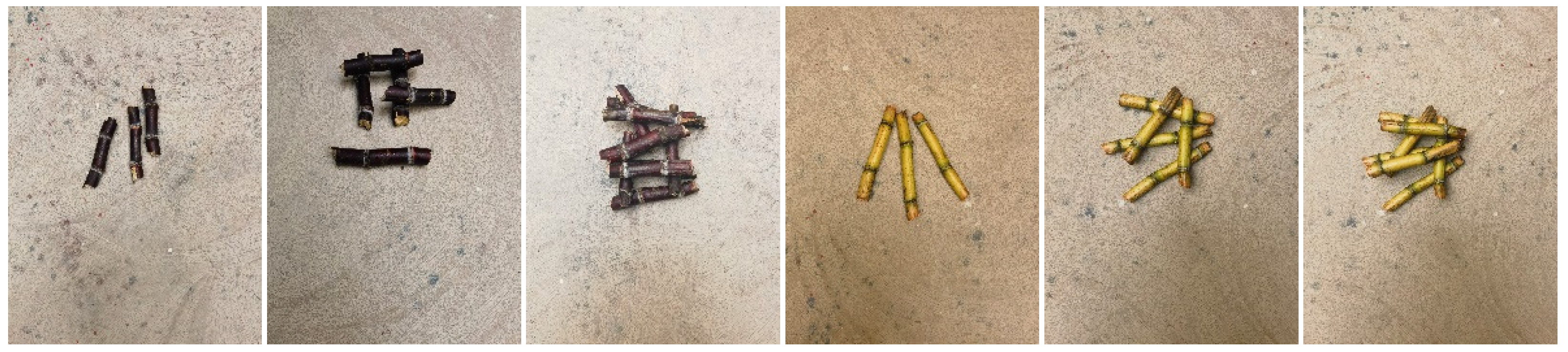 Applsci 14 11765 g005b