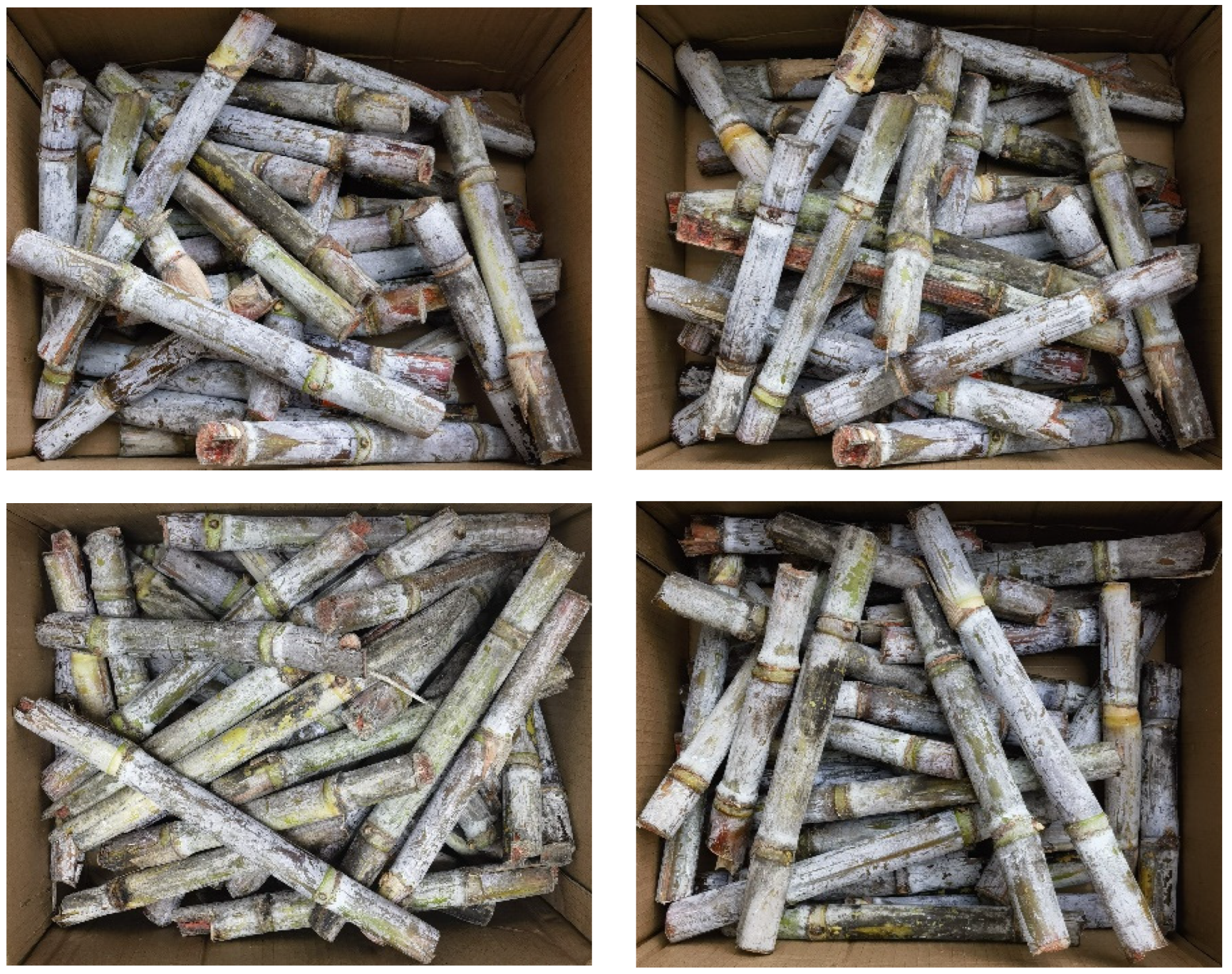 Applsci 14 11765 g006